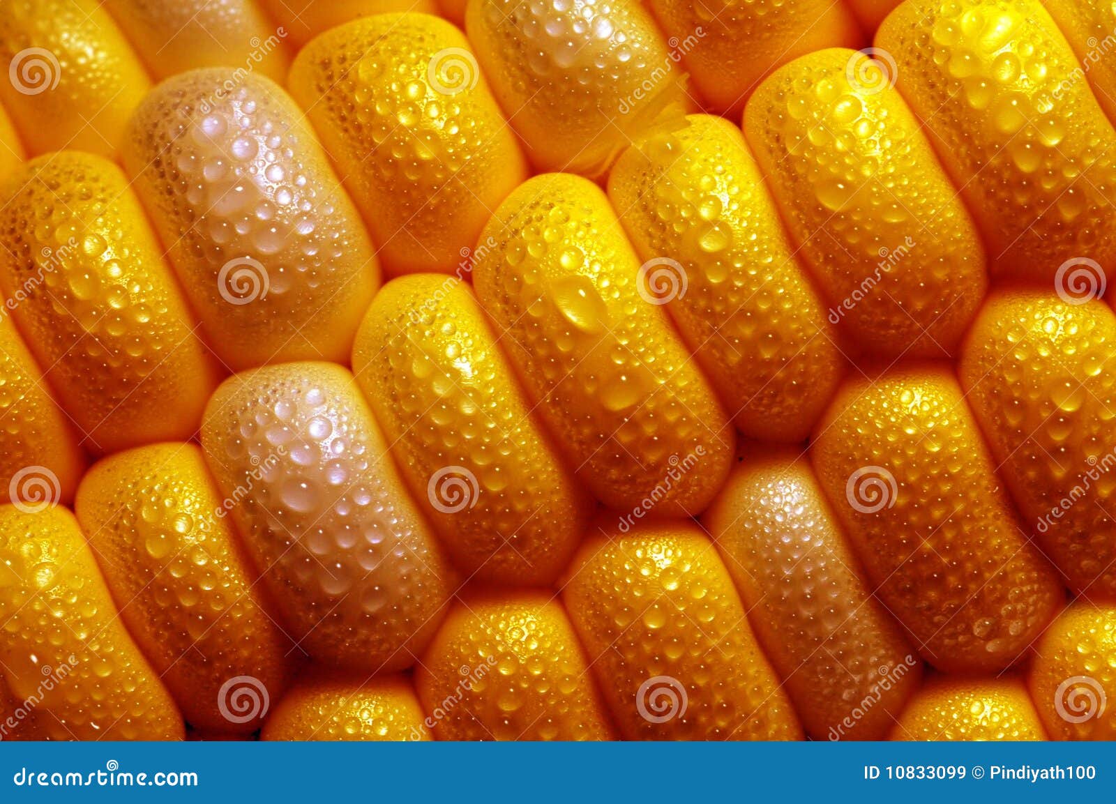 corn