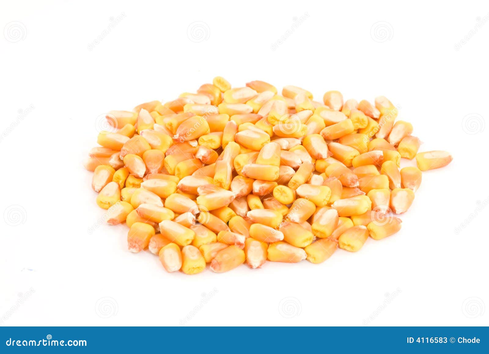 Corn stock image. Image of carbohydrate, crowd, gold, isolated 4116583
