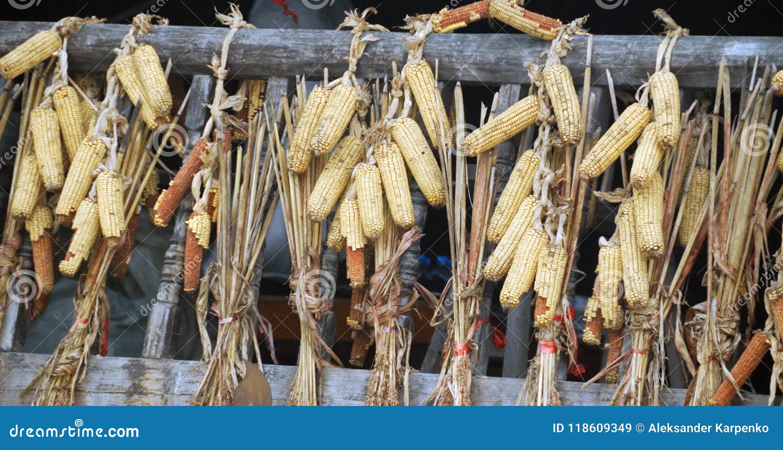 Corn on the Balcony in the Farmhouse Stock Image Image of harvest