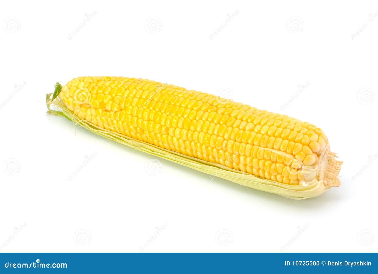 Corn on the cob stock photo. Image of edible, crop, nutritious 10725500