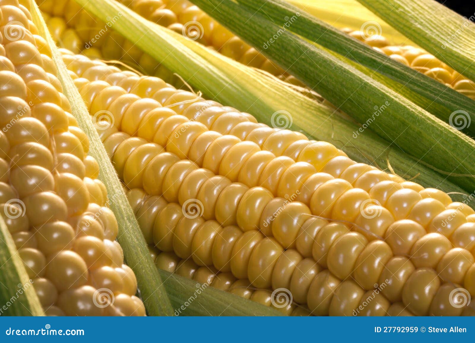 corn on the cob