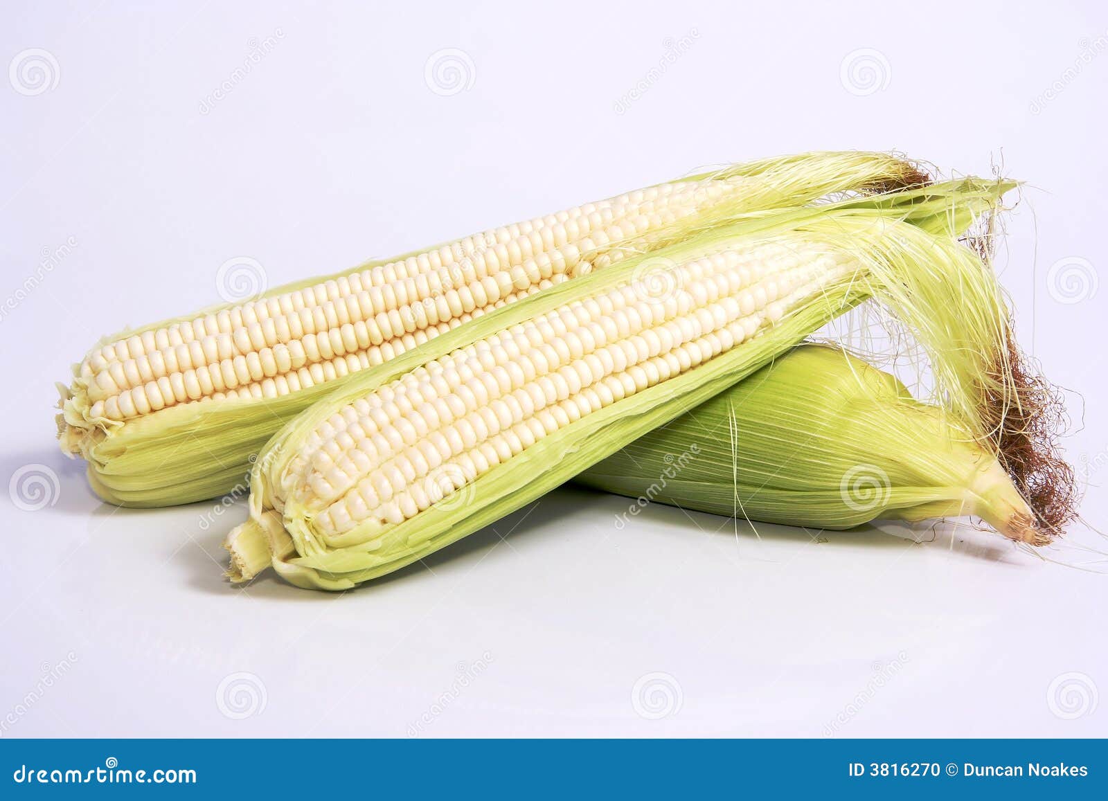 Corn on the Cob stock photo. Image of hair, diet, beard 3816270