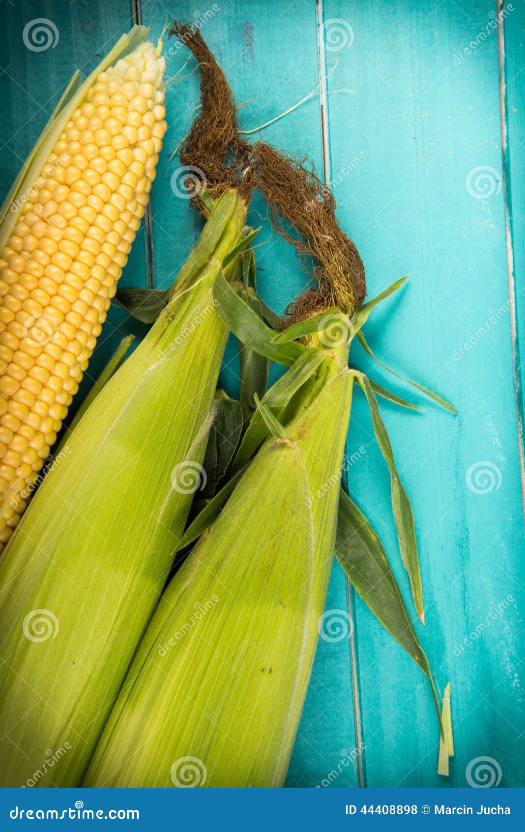 Corn on cob stock photo. Image of diet, sweet, farm, harvest 44408898