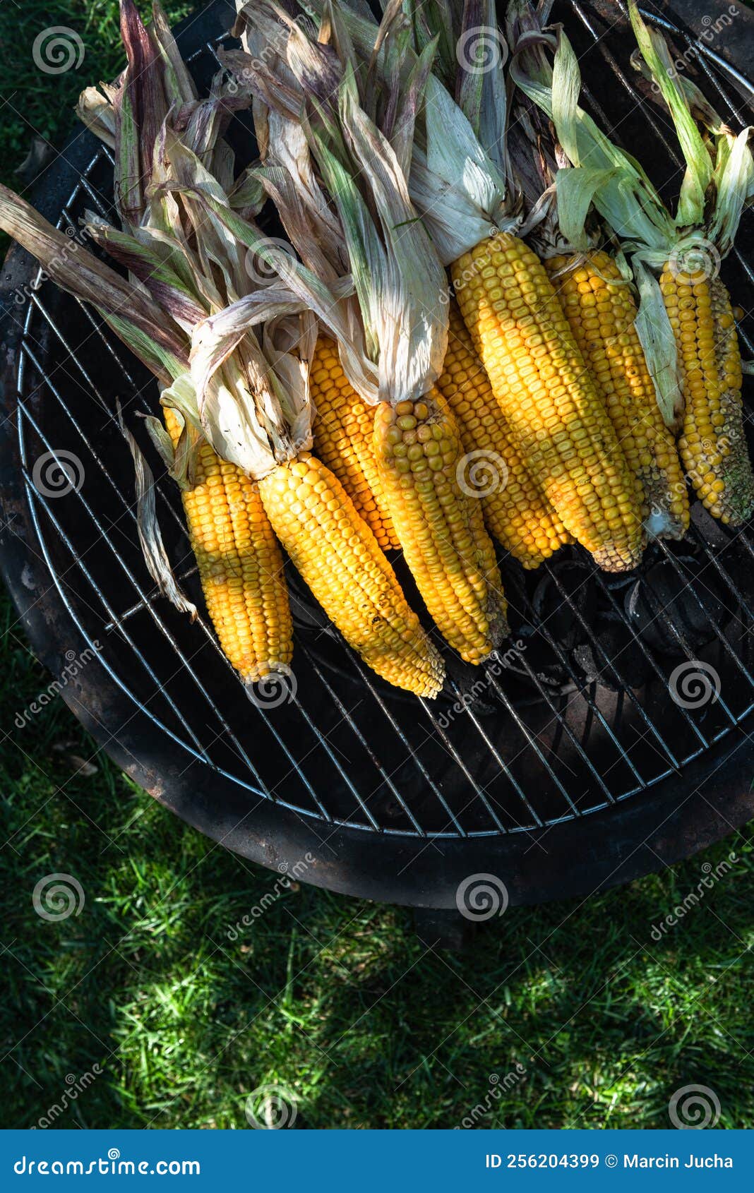 Corn on the Cob on Grill in Home Garden Stock Image Image of cooked