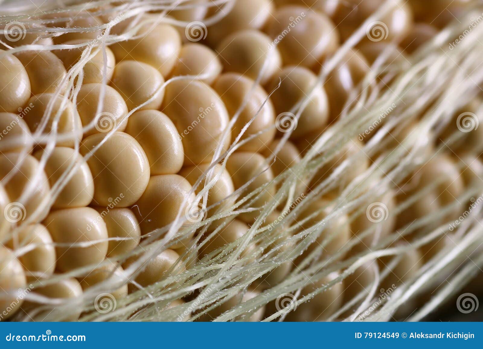 Corn cob young macro stock image. Image of health, gold 79124549