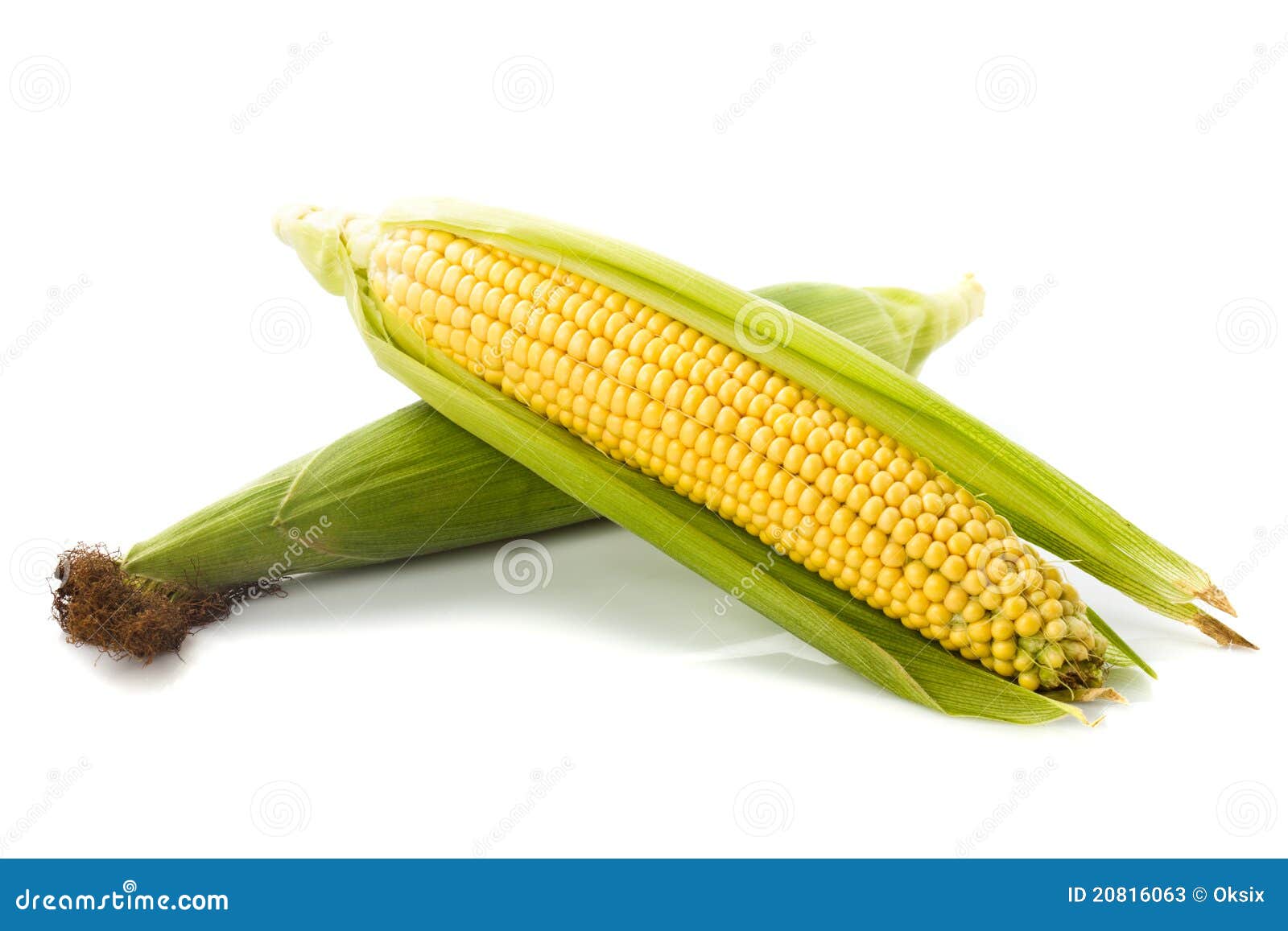 Corn cobs stock image. Image of object, color, farm, crop 20816063