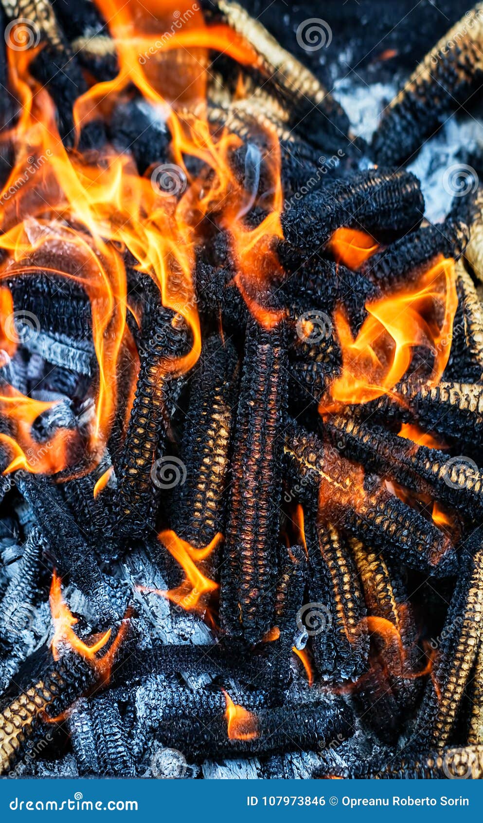 Corn cobs burning stock photo. Image of gourmet, corn 107973846
