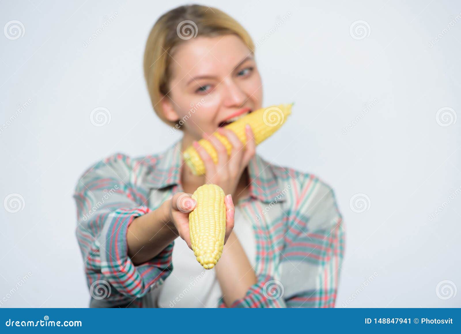 Corn Crop. 
