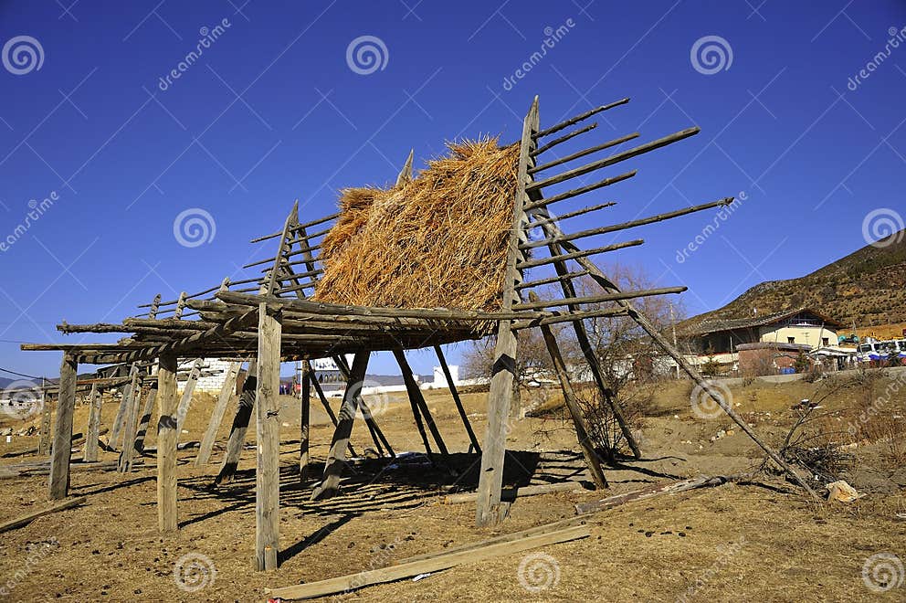Corn drying rack stock image. Image of tibetan, transparent 26972933