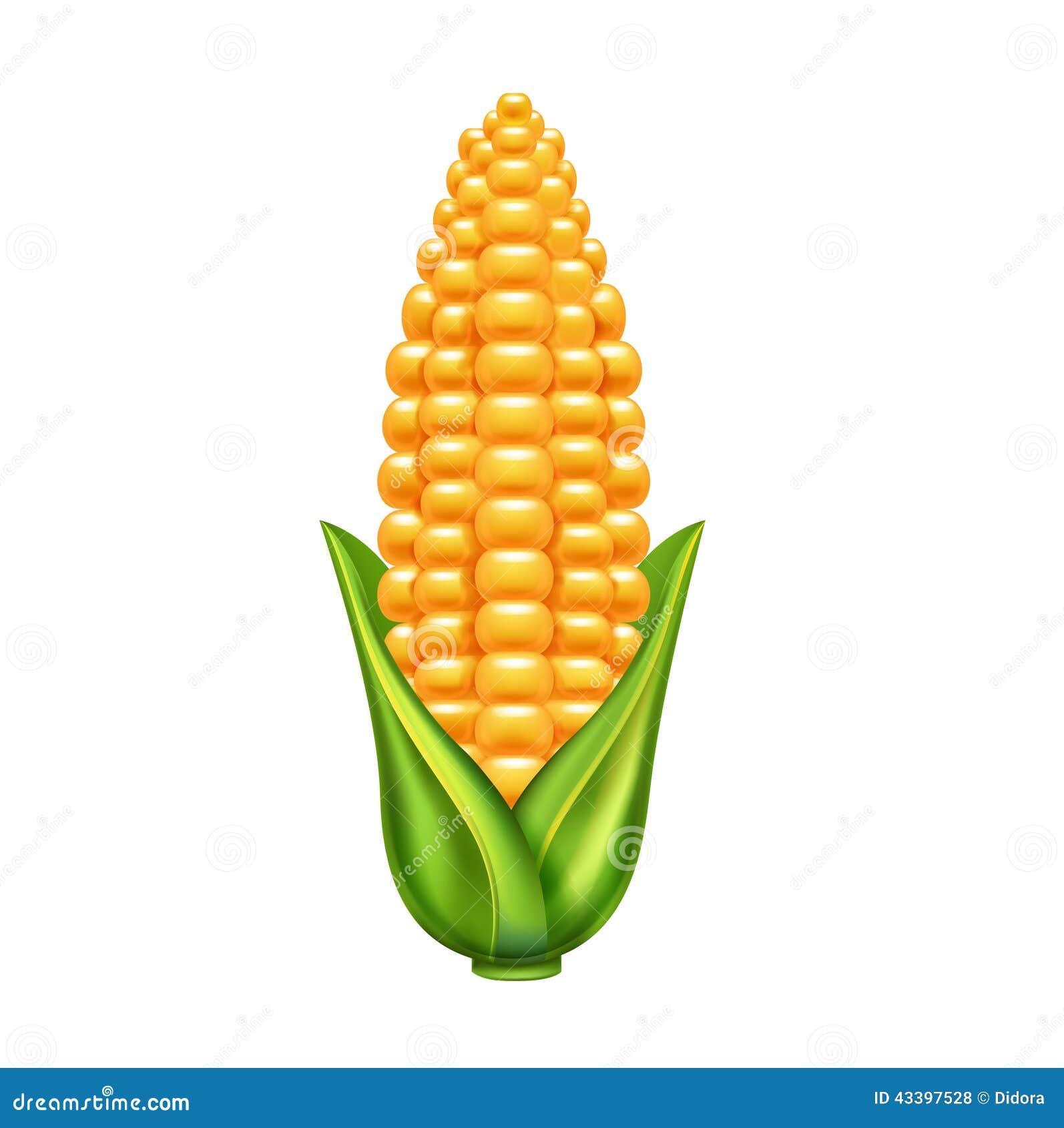 Corn Ear Clipart Kids