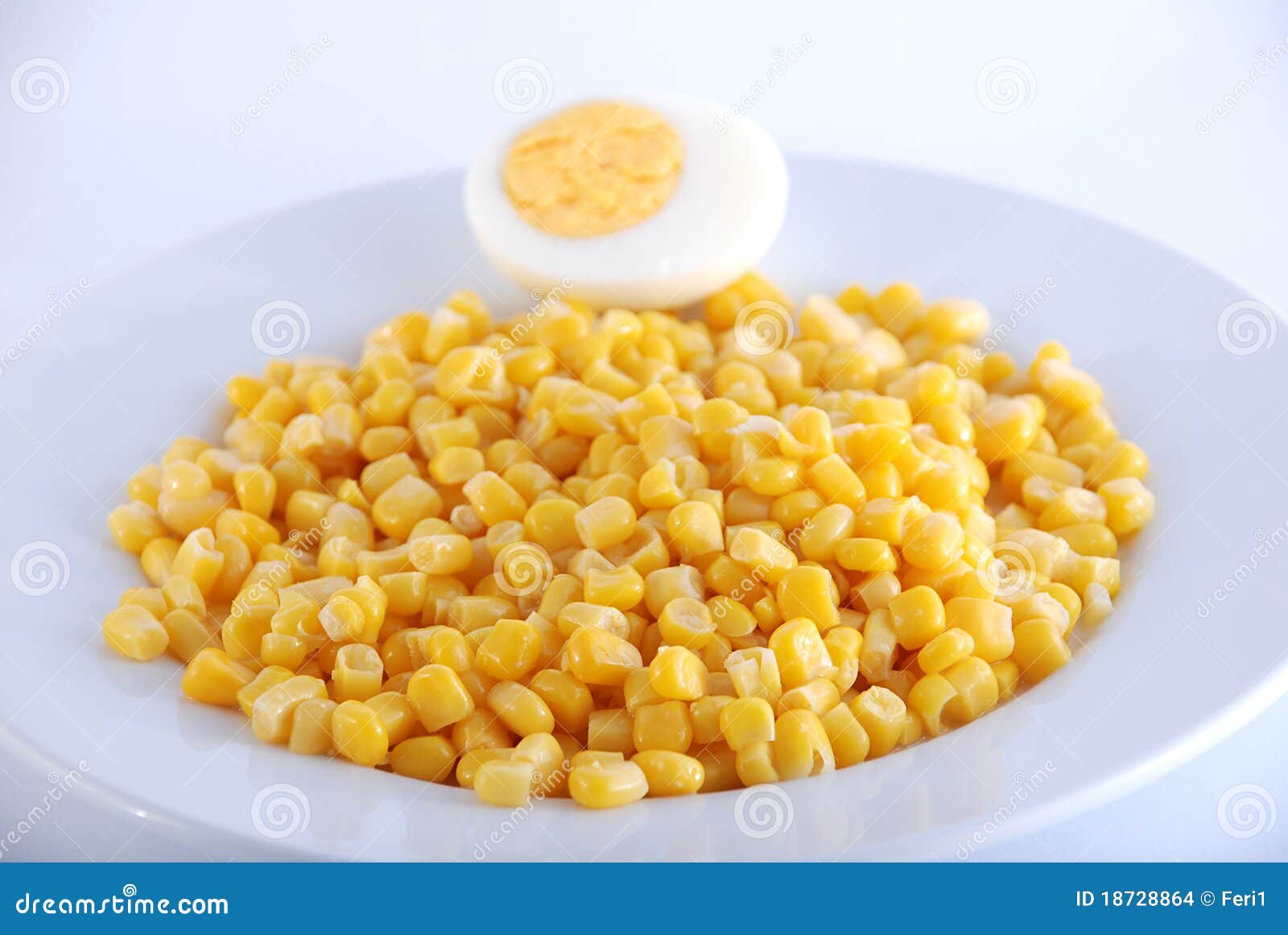 Corn and egg stock photo. Image of cooking, food, plant - 18728864