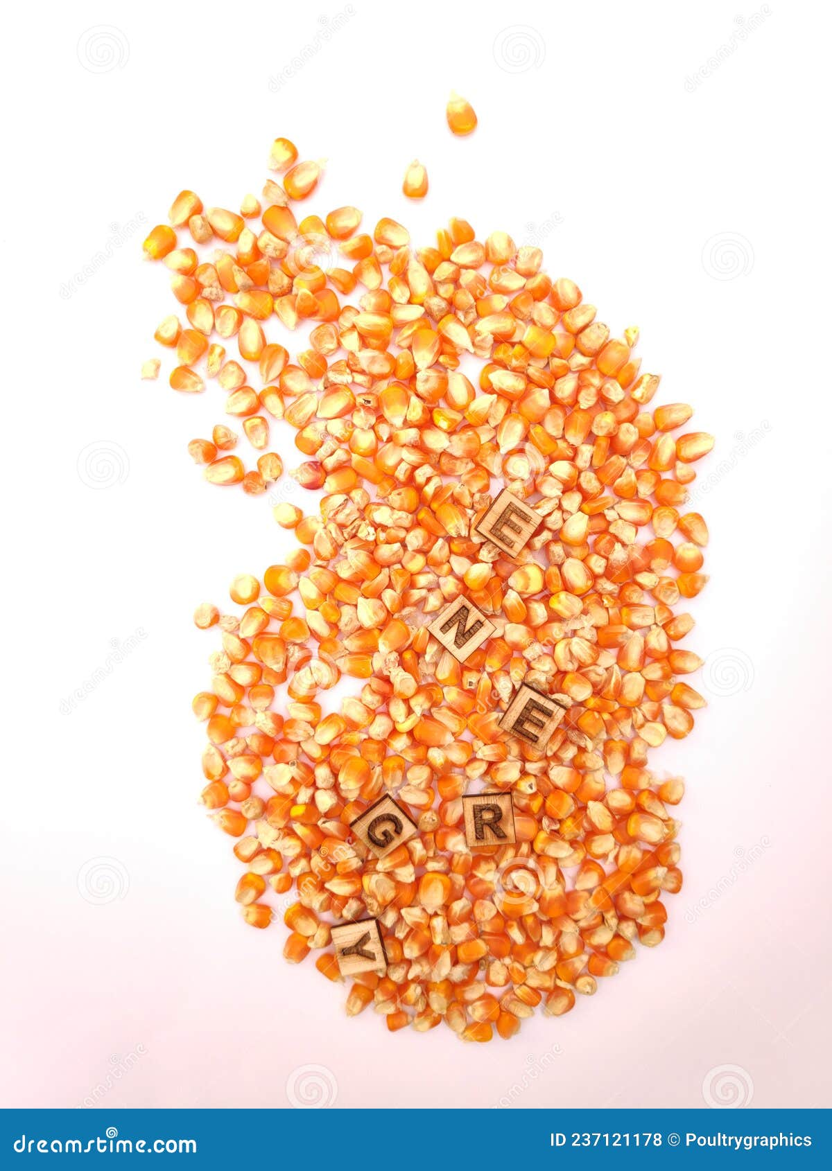 Corn Energy Source for Animal Farm Poultry and Swine Feed Industries