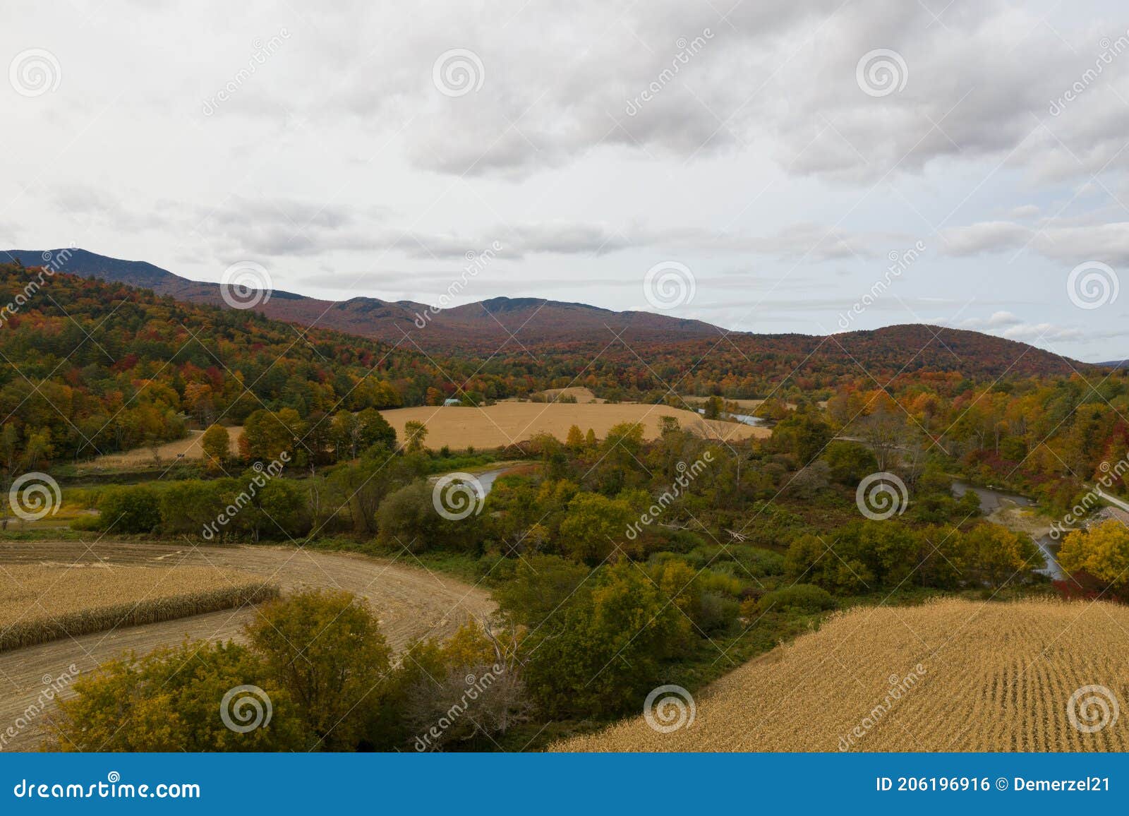 Corn Field Vermont stock photo. Image of corn, orange 206196916