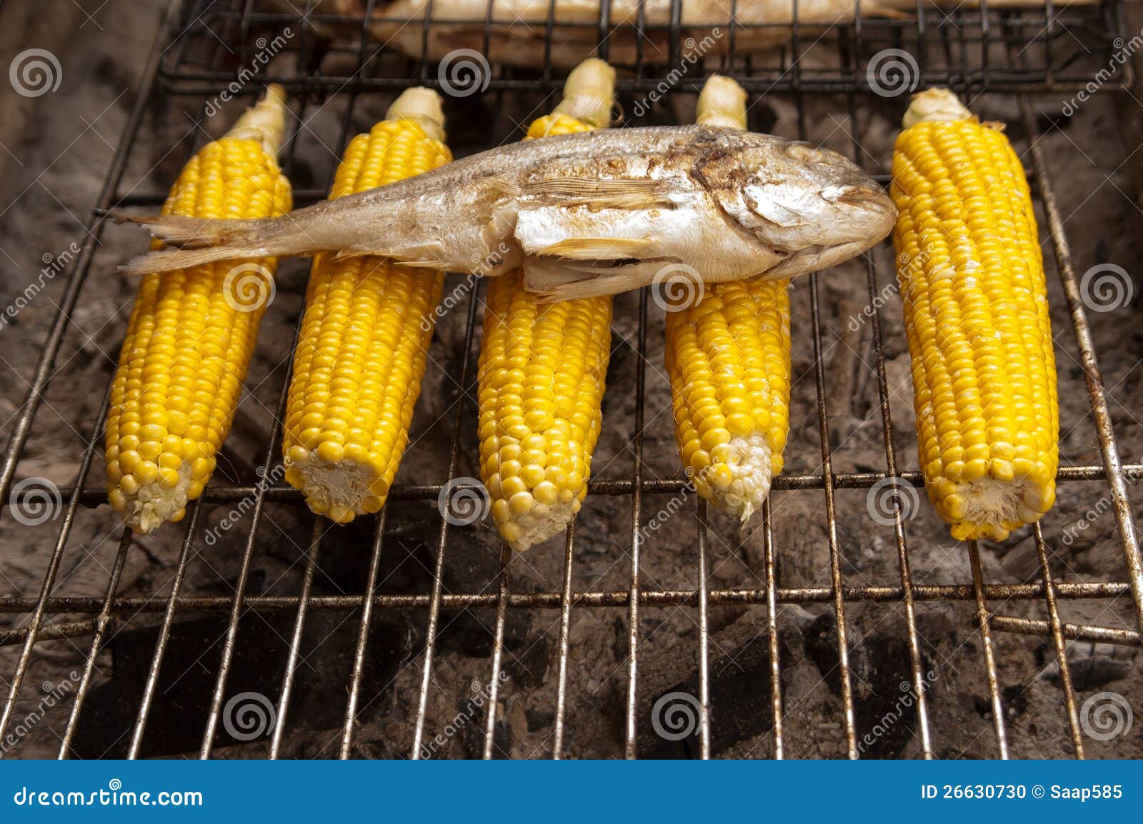 Corn and fish on bbq stock photo. Image of lunch, agriculture 26630730