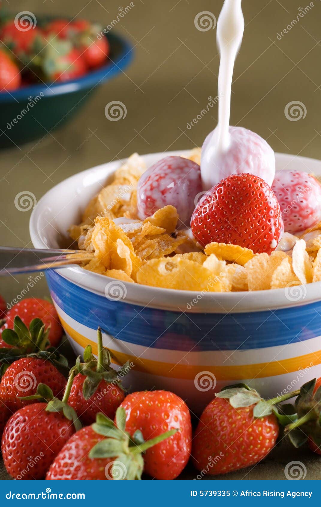 Corn Flakes and milk stock image. Image of pouring, diet 5739335