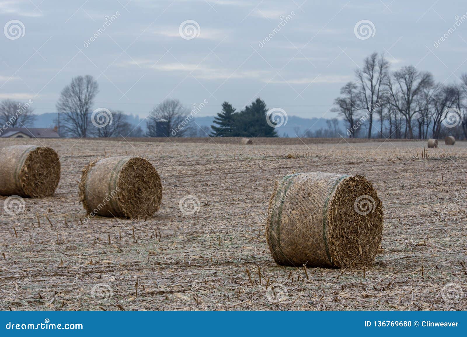 Corn Fodder Round Bales in Field Stock Photo Image of cloud, fall