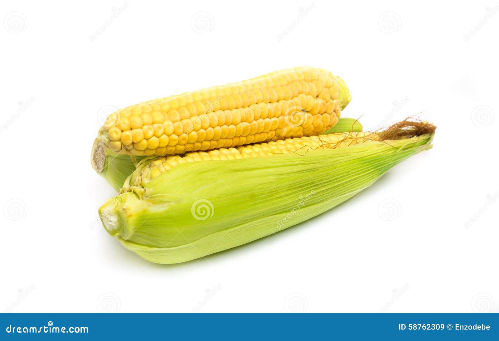 Corn fresh stock image. Image of nutrition, maize, mais 58762309