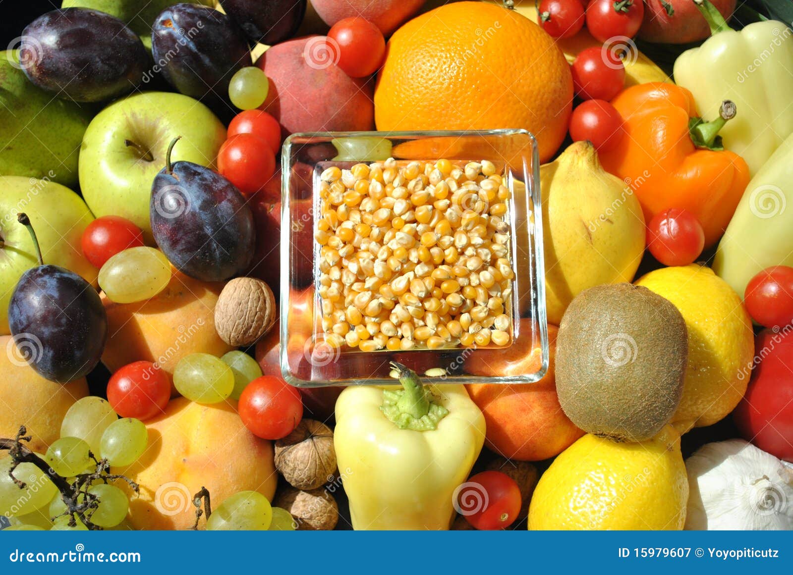 Corn, Fruits and Vegetables Stock Image Image of havesting, fresh