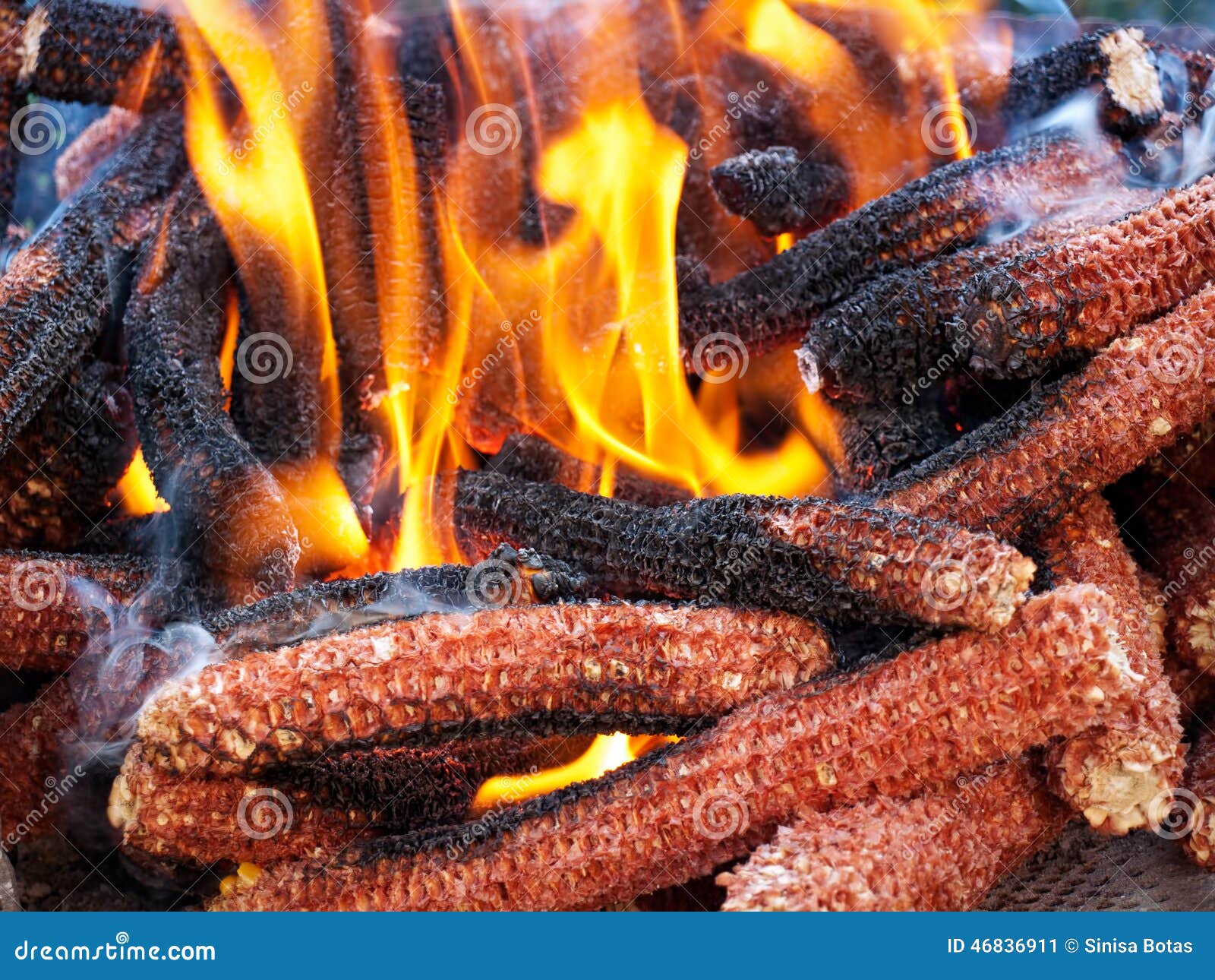 Corn fuel stock image. Image of ecologic, production 46836911