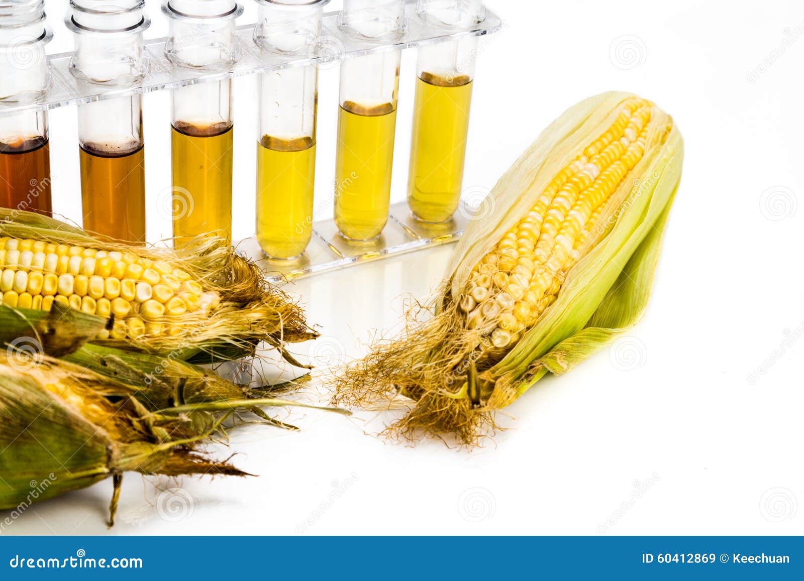 Corn Generated Ethanol Biofuel with Test Tubes on White Backgrou Stock
