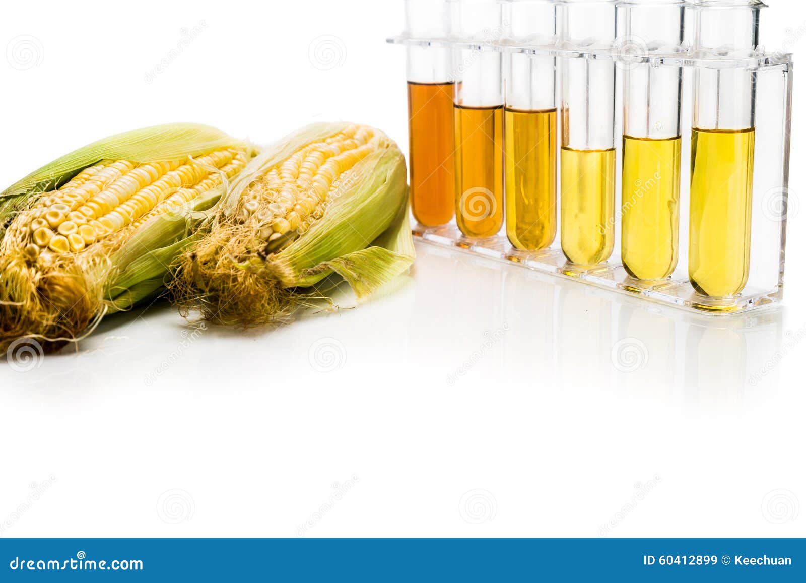 Corn Generated Ethanol Biofuel With Test Tubes On White ...