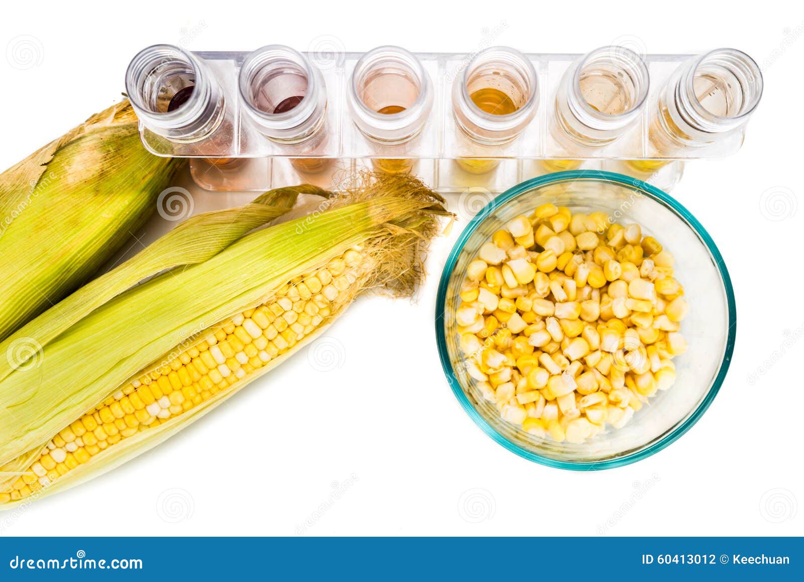 Corn Generated Ethanol Biofuel with Test Tubes on White Backgrou Stock
