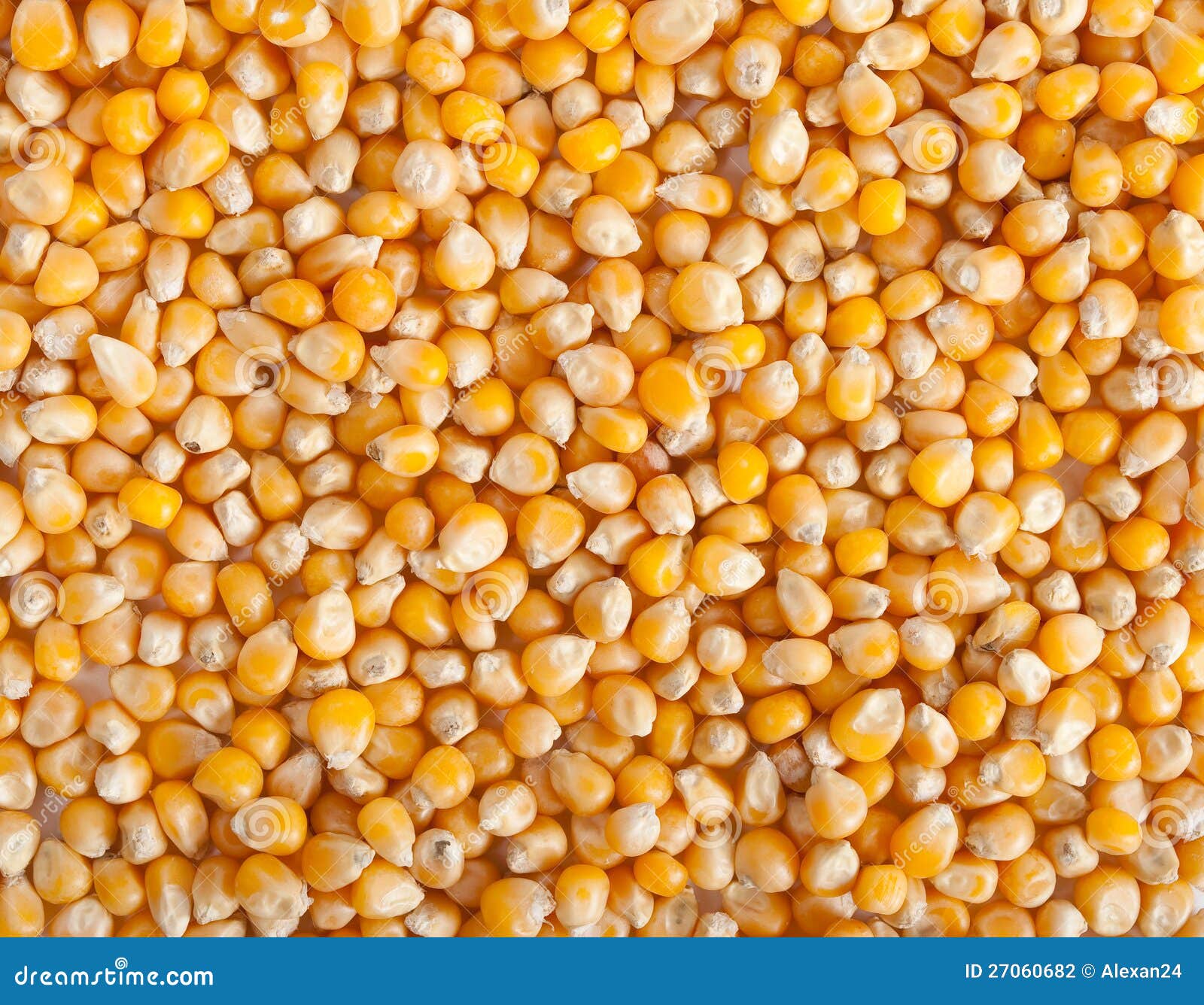 35,152 Corn Grain Texture Stock Photos - Free & Royalty-Free Stock Photos  from Dreamstime