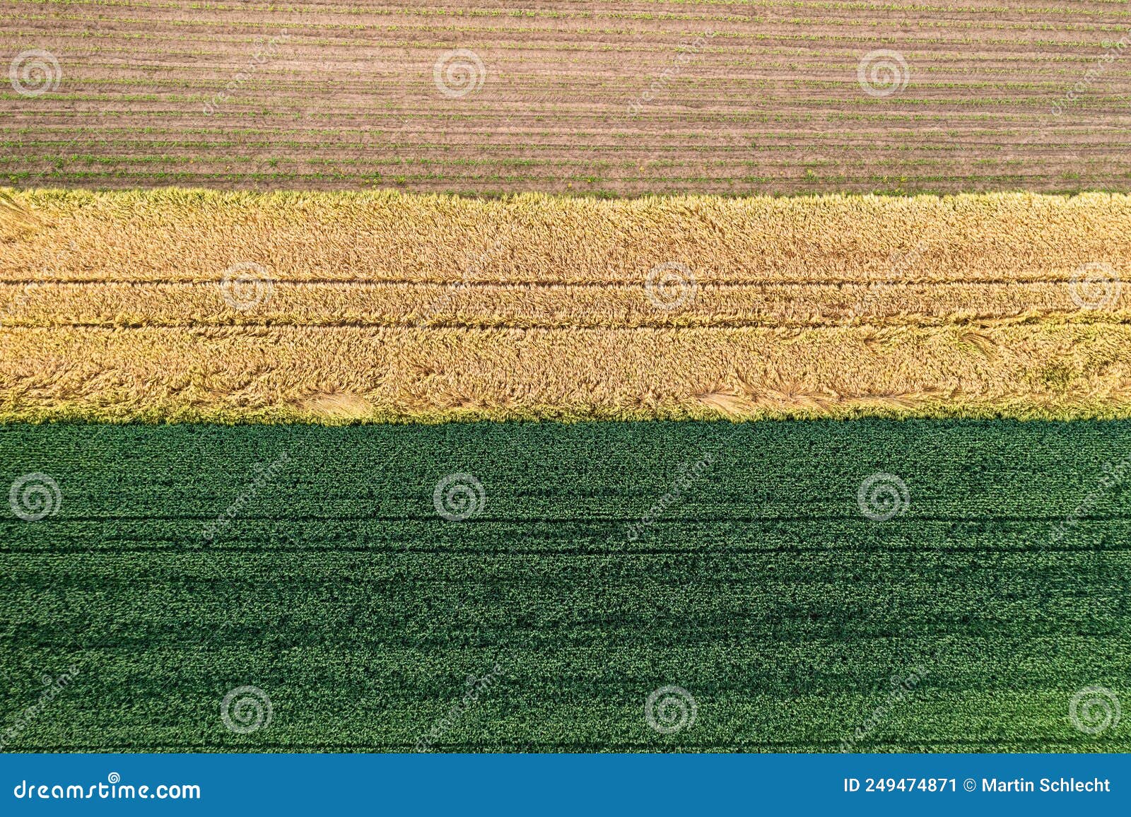 Aerial View of Corn and Grain Fields Stock Image Image of hunger, fresh 249474871