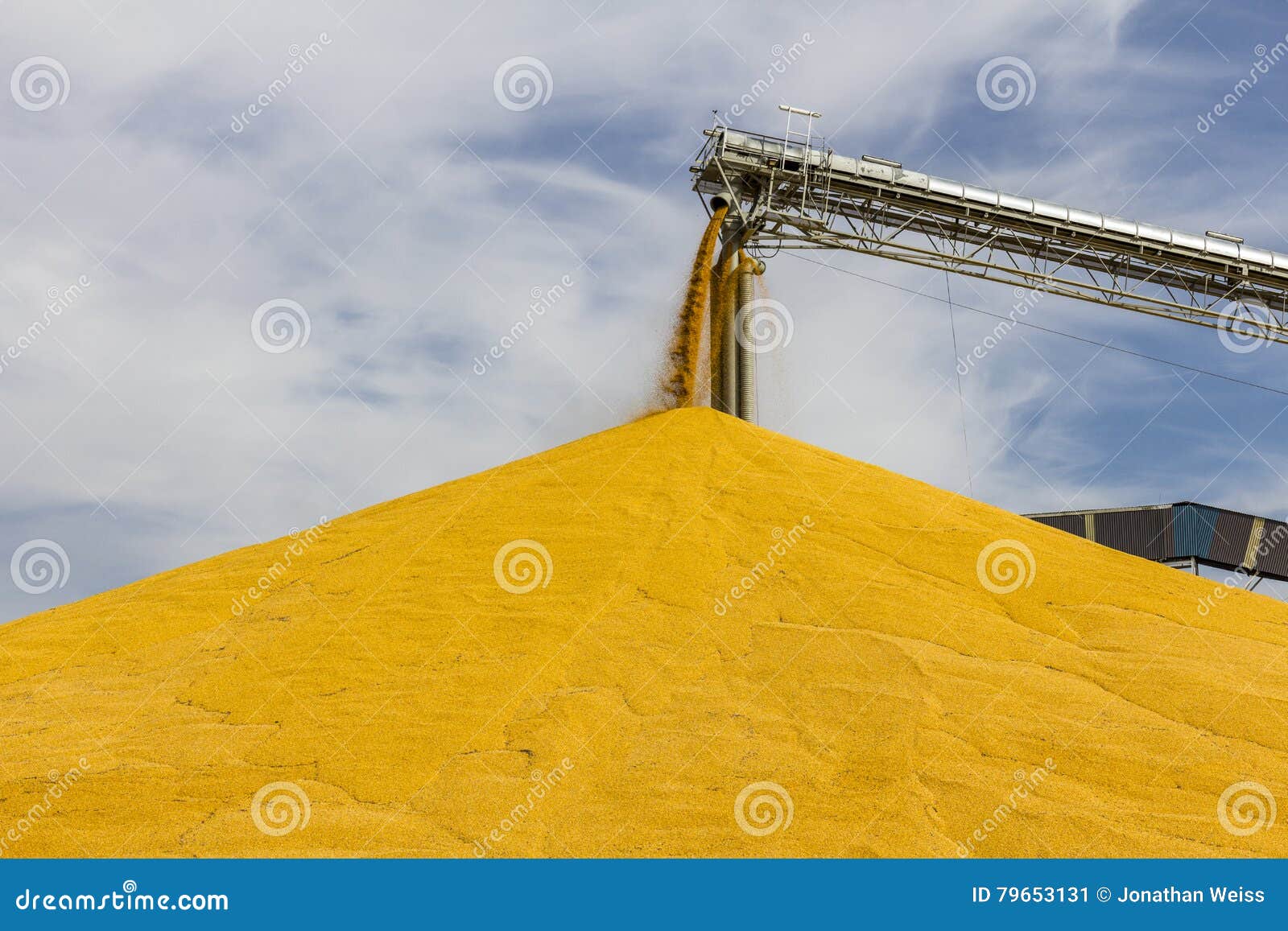 corn and grain handling or harvesting terminal. corn can be used for food, feed or ethanol iii