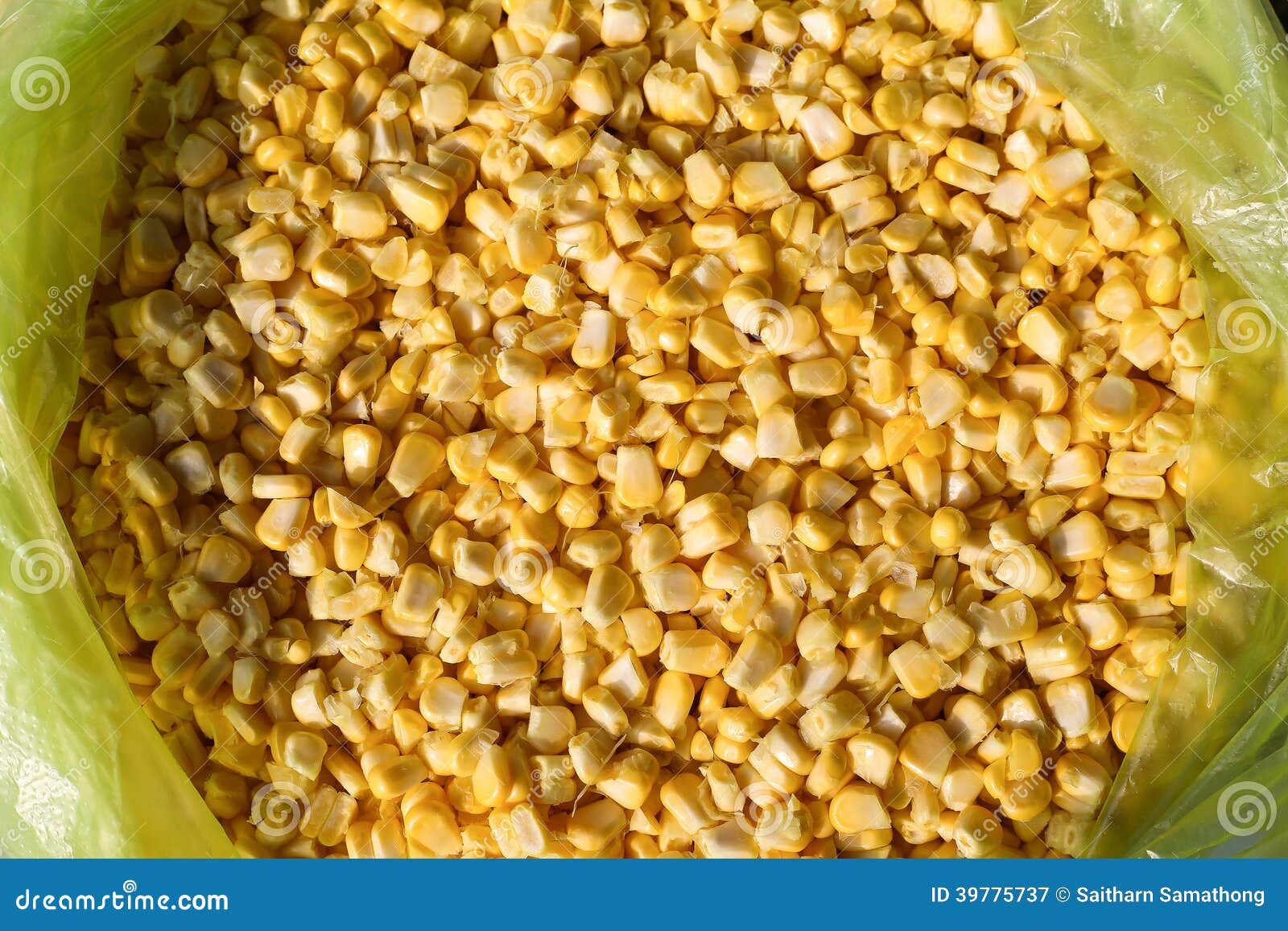 The corn grain stock image. Image of sweet, nutrition 39775737