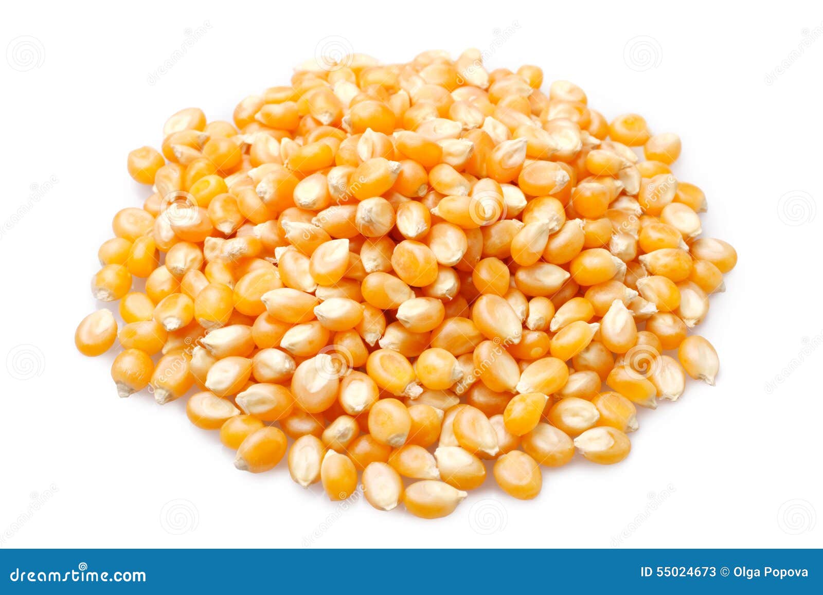 Corn grains stock image. Image of corn, dietary, growth 55024673