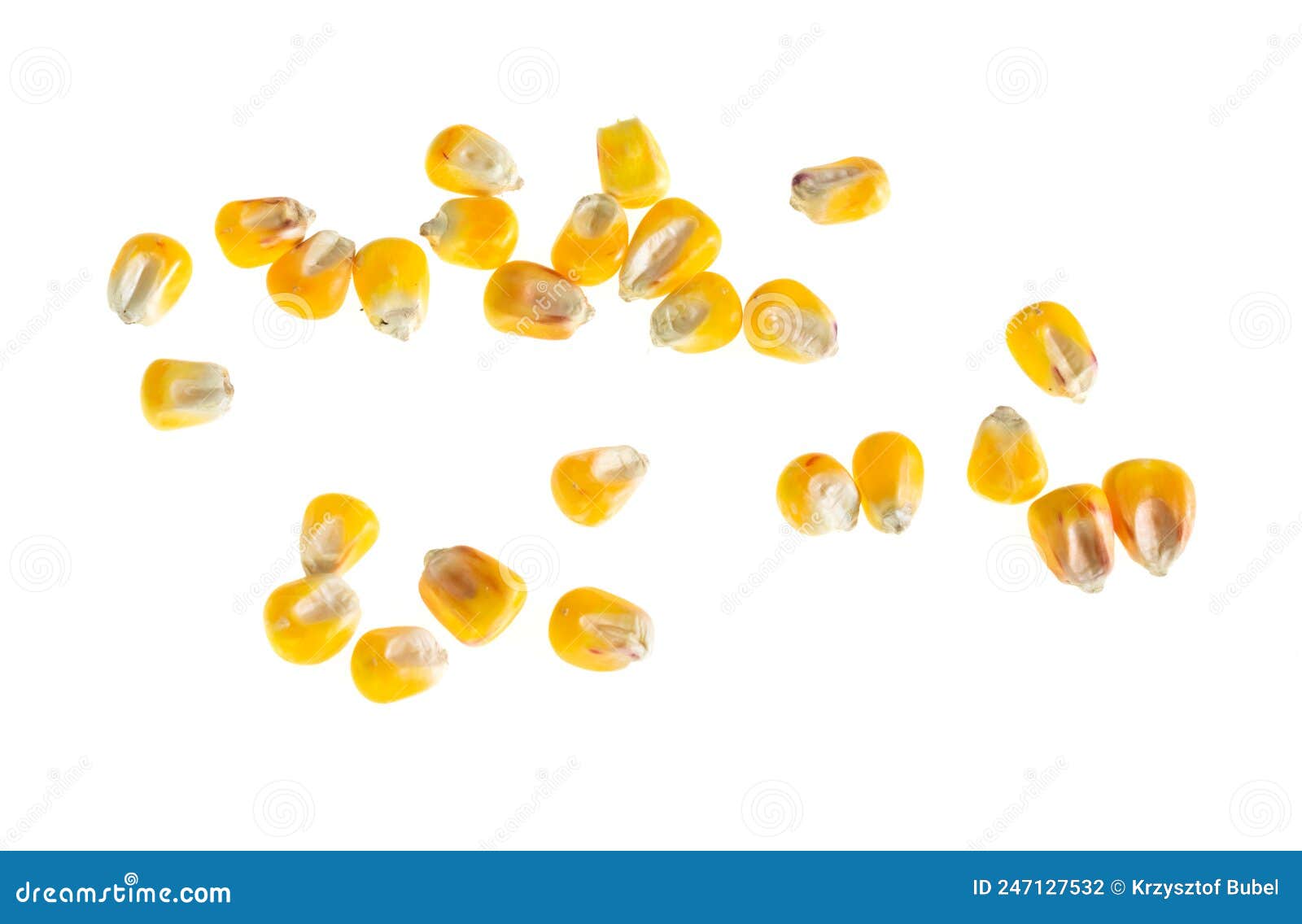 Corn Grains on a White Isolated Background Stock Photo Image of cook