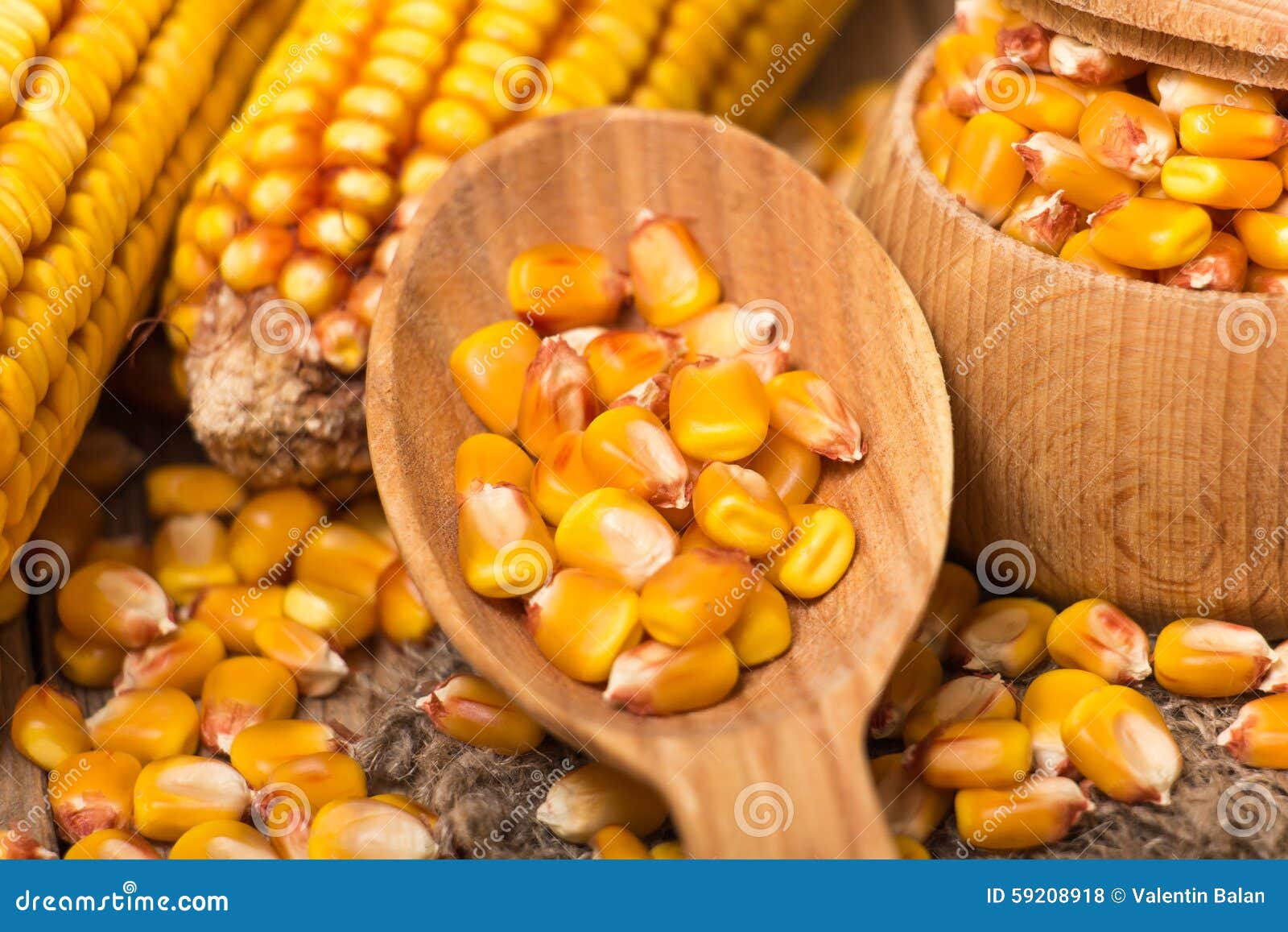 Corn grains stock photo. Image of healthy, maize, background 59208918