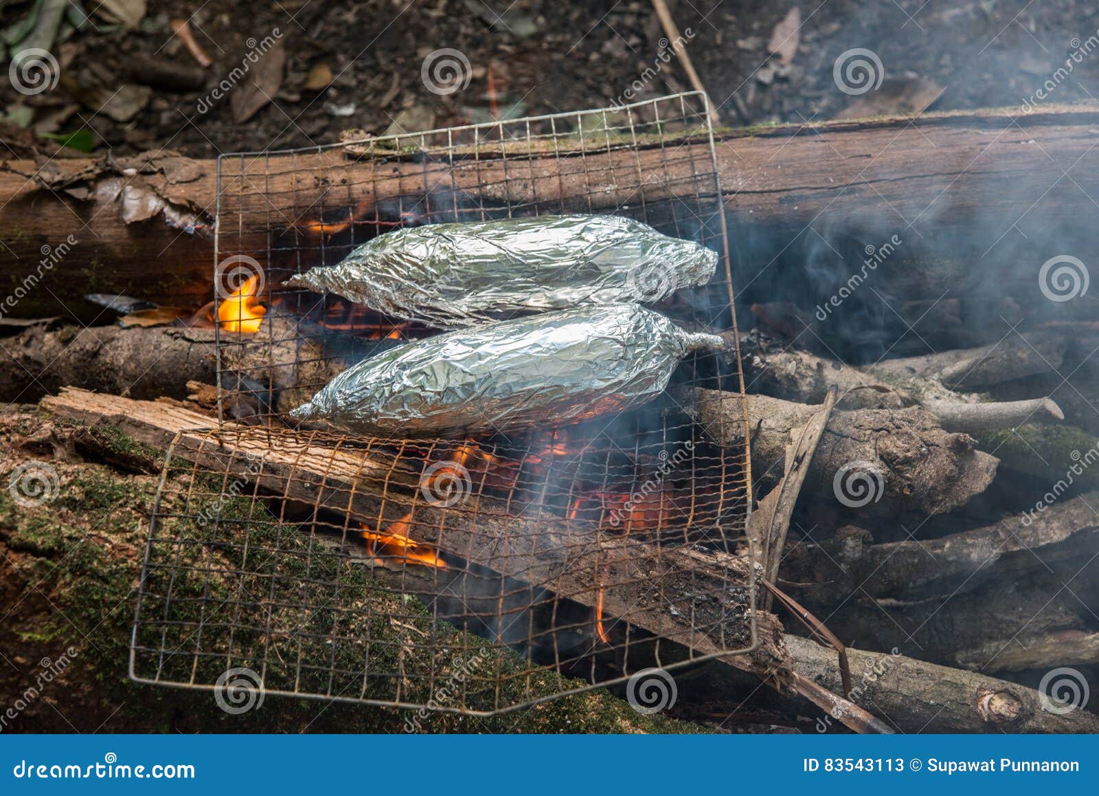 Corn Grill on the Stove with Fire Stock Image Image of picnic, plant