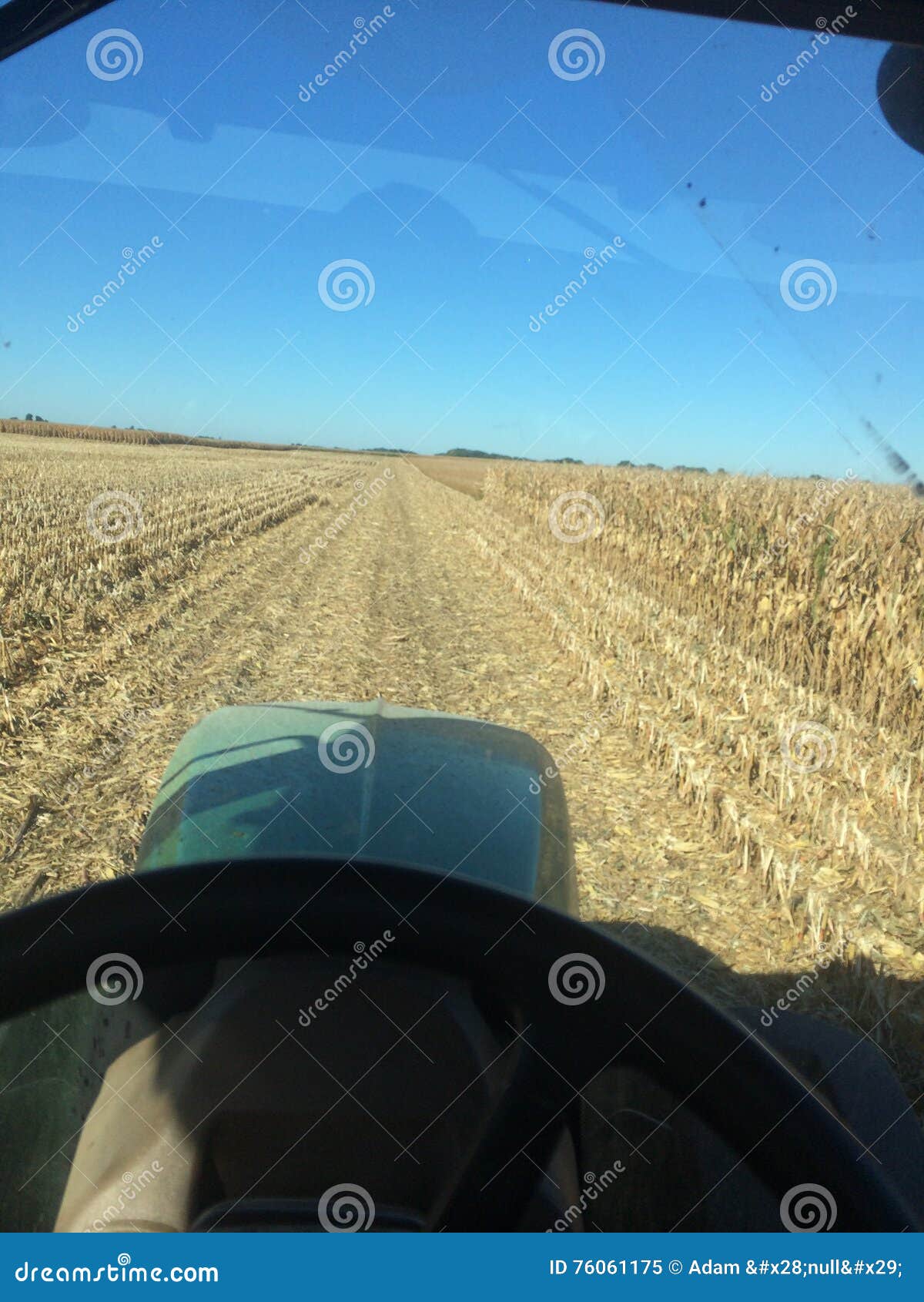 Corn Harvest stock image. Image of wagons, tractor, view 76061175