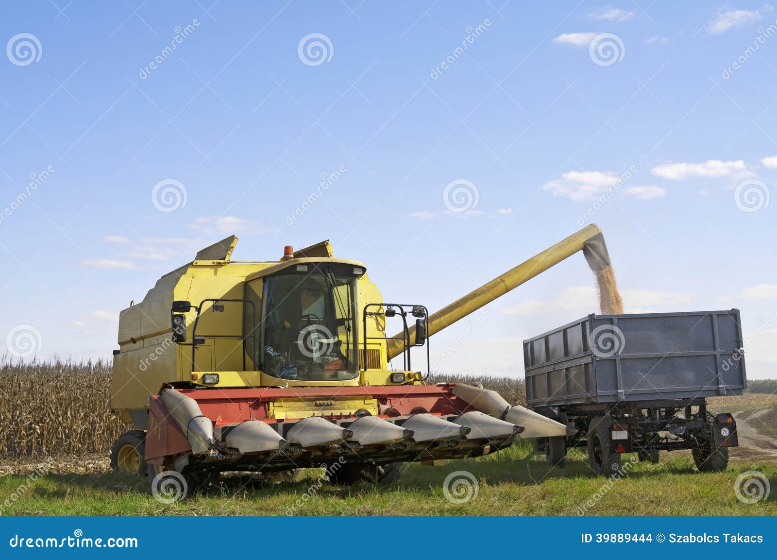 Corn Harvester Loading Trailer Stock Photo Image of rural, progress