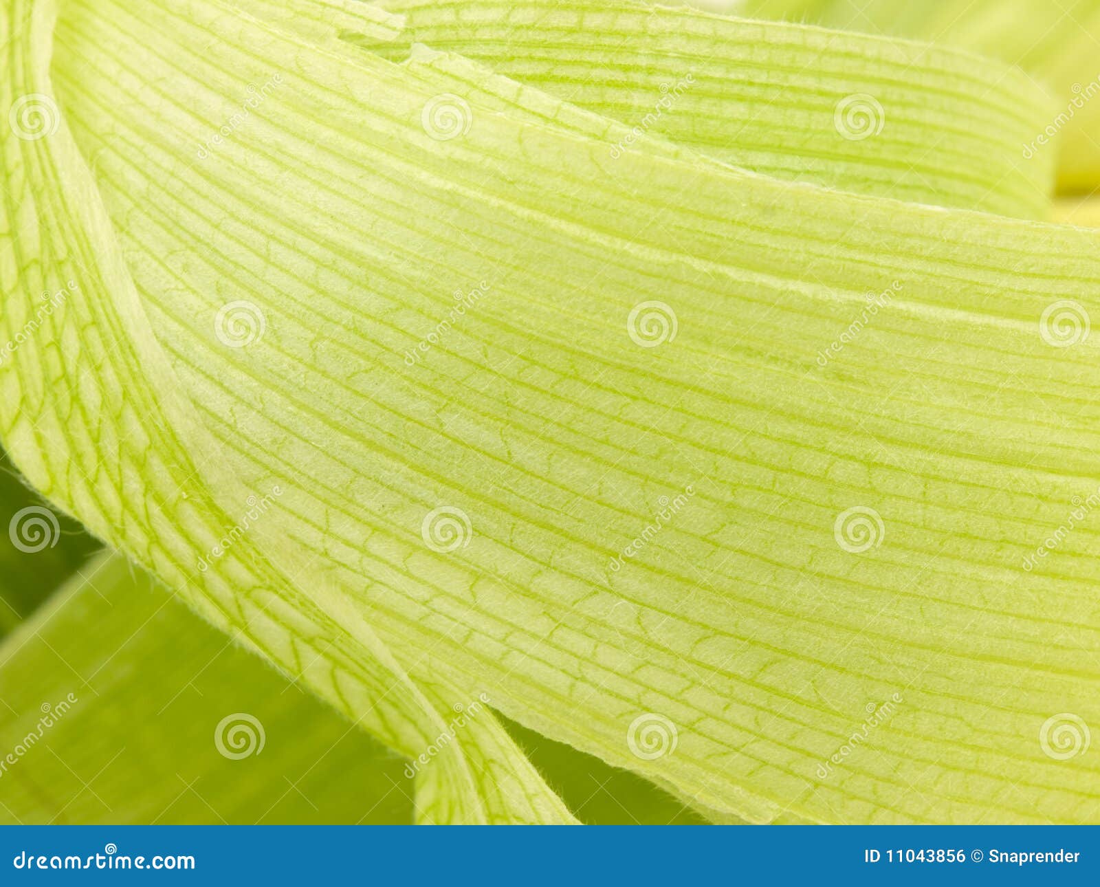 Corn Husk Doll In Mexican Dress Stock Photography