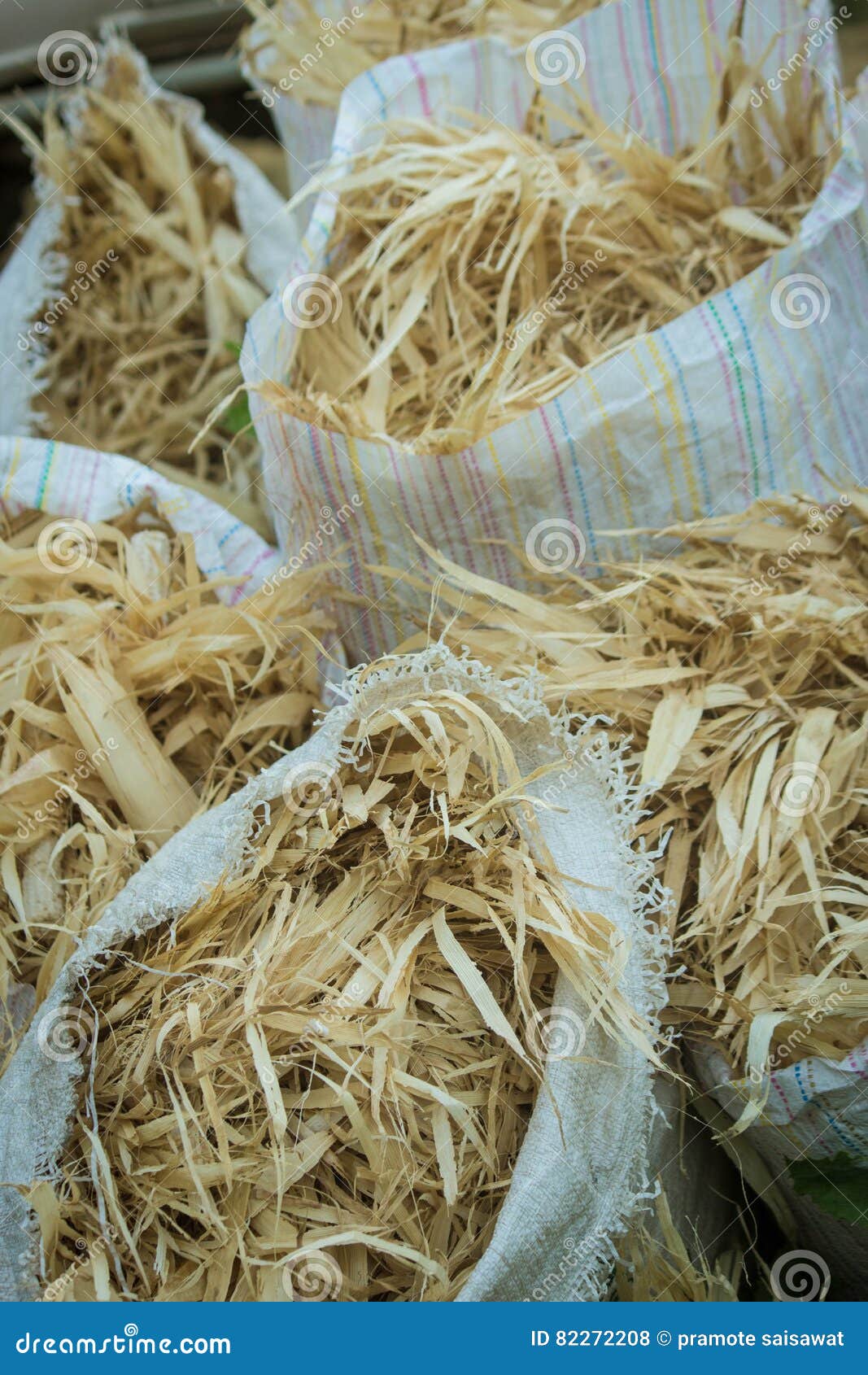 Corn husk stock photo. Image of farm, husk, ornamental 82272208