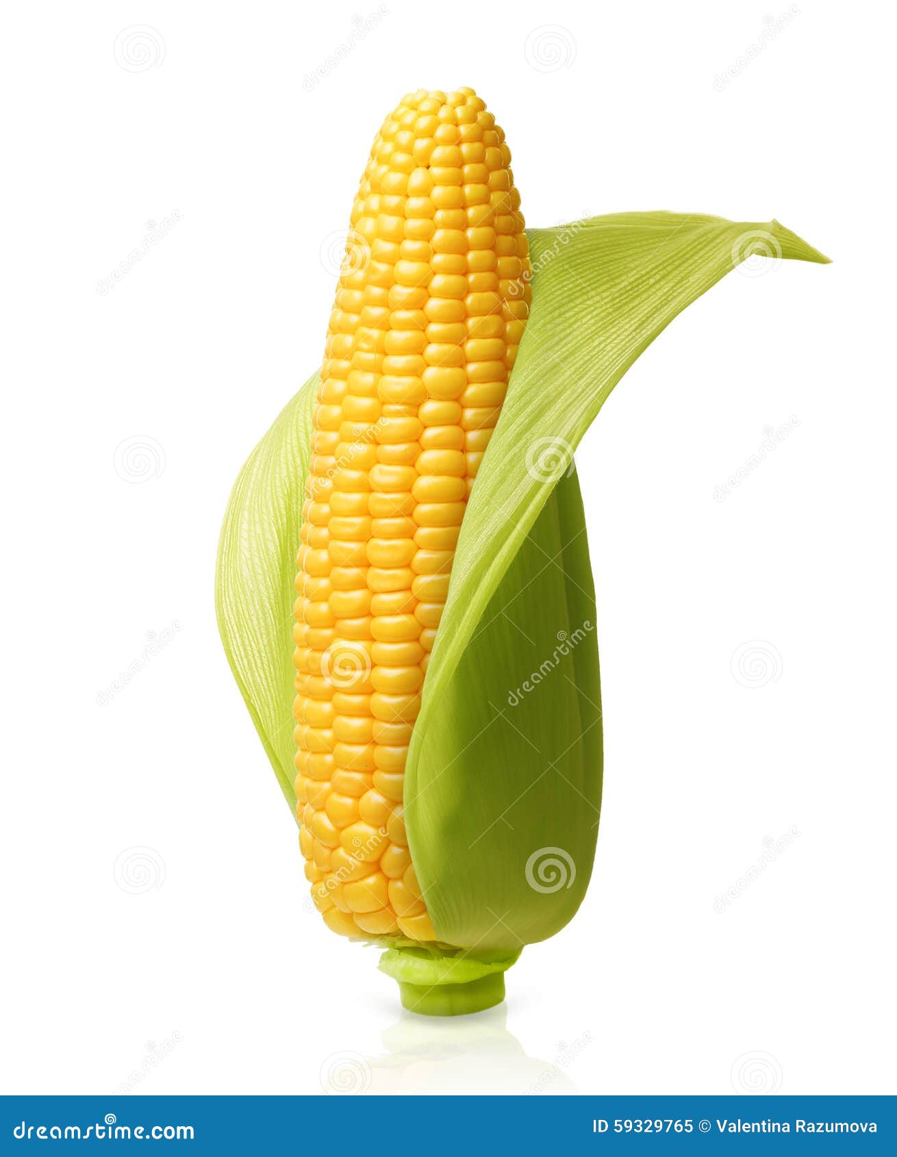 corn 