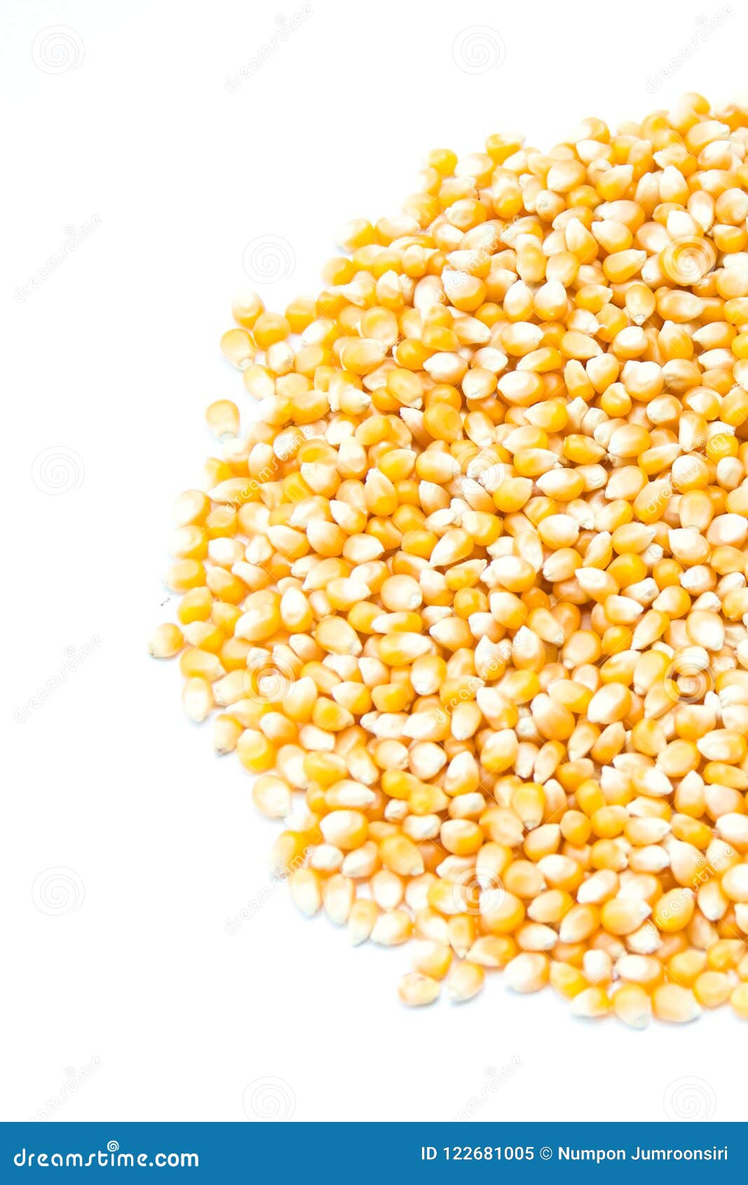Corn Kernels stock image. Image of multiple, product 122681005