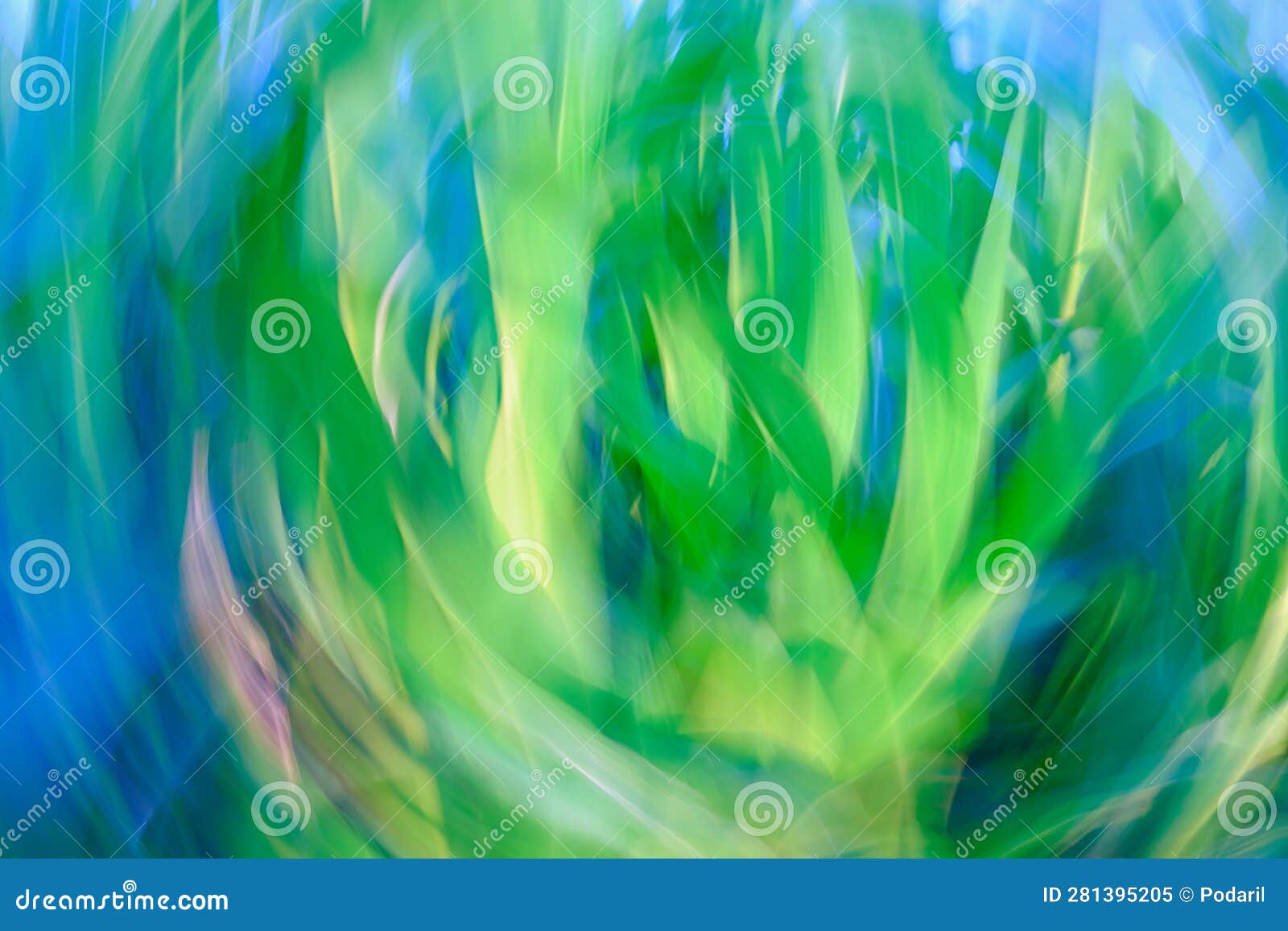 Corn With Leaves, Vector Illustration, Hand Drawing Sketch