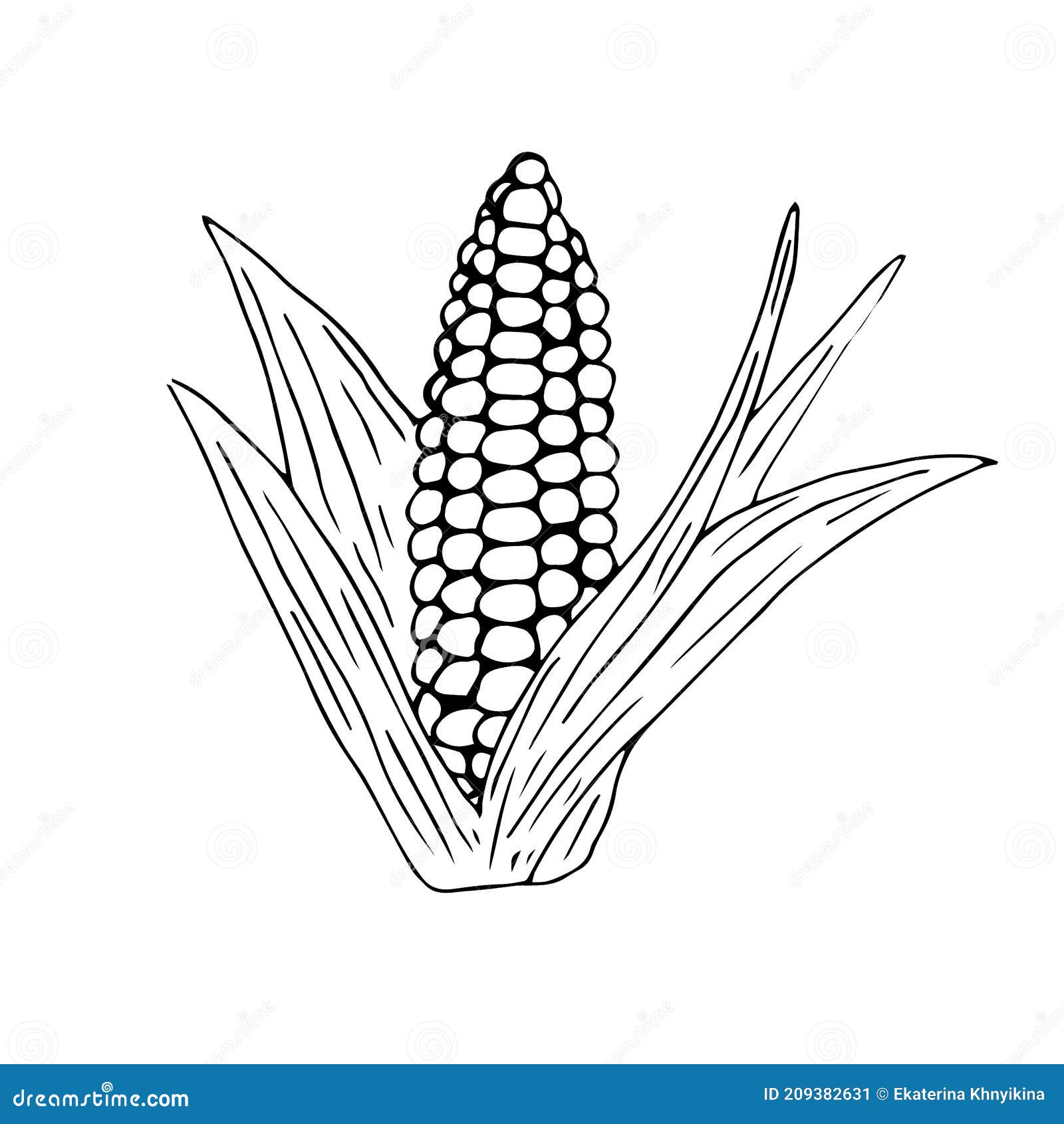 Corn with Leaves, Vector Illustration, Hand Drawing Sketch Stock Vector