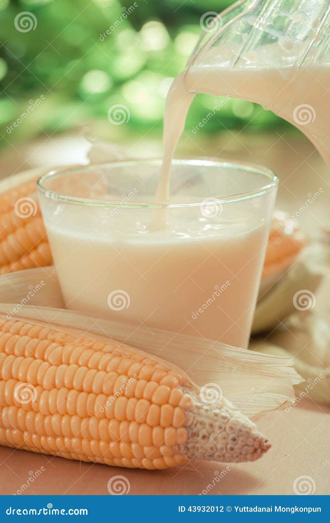 Corn milk stock photo. Image of nutrition, natural, beverage 43932012
