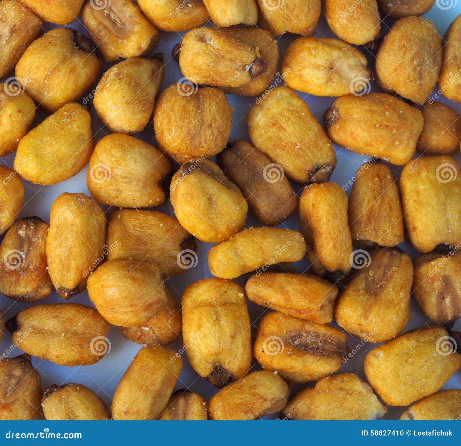 Corn Nuts stock photo. Image of seeds, dried, nutritious 58827410