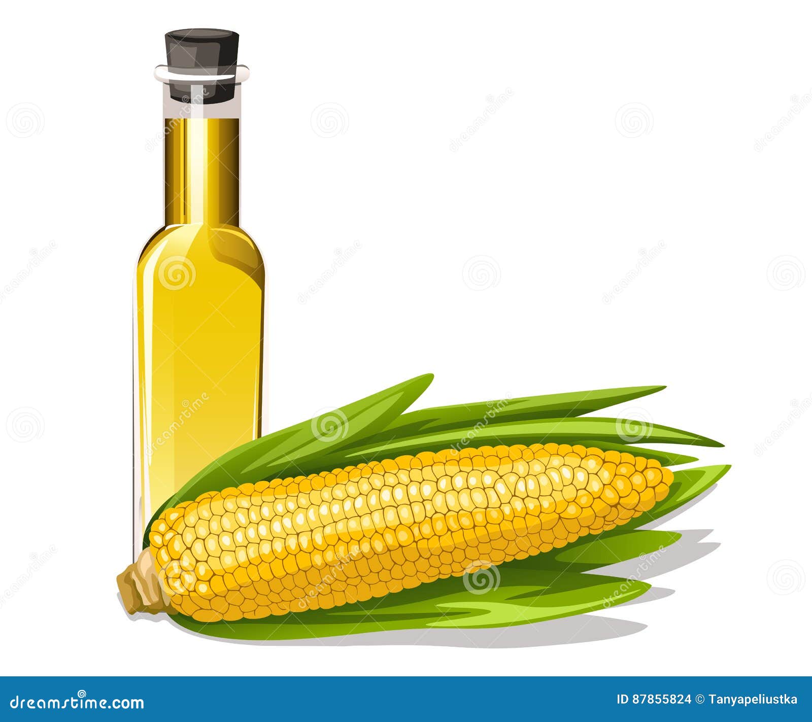 Corn oil with corn cob stock vector. Illustration of bottle 87855824