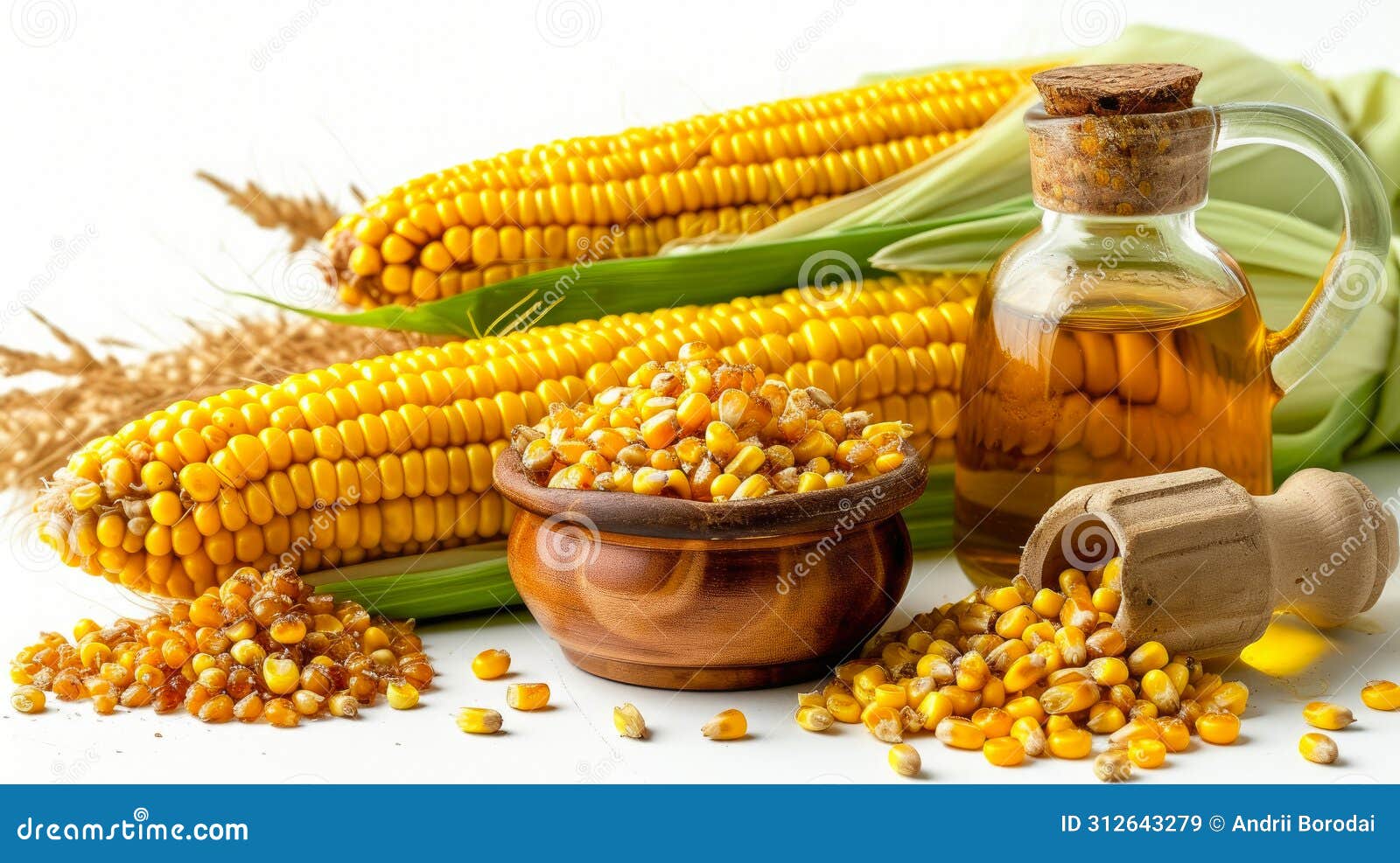 Corn Oil Extraction Process with Grains. Stock Illustration Illustration of corn, maize 312643279