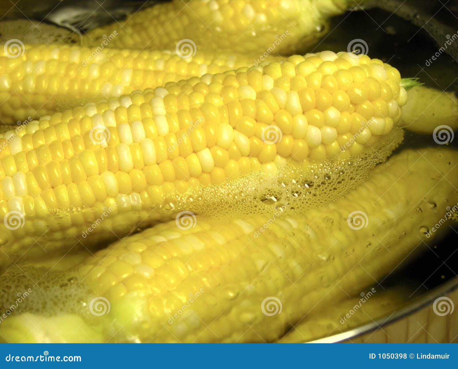 Corn Peaches stock photo. Image of cooking, farm, canned 1050398