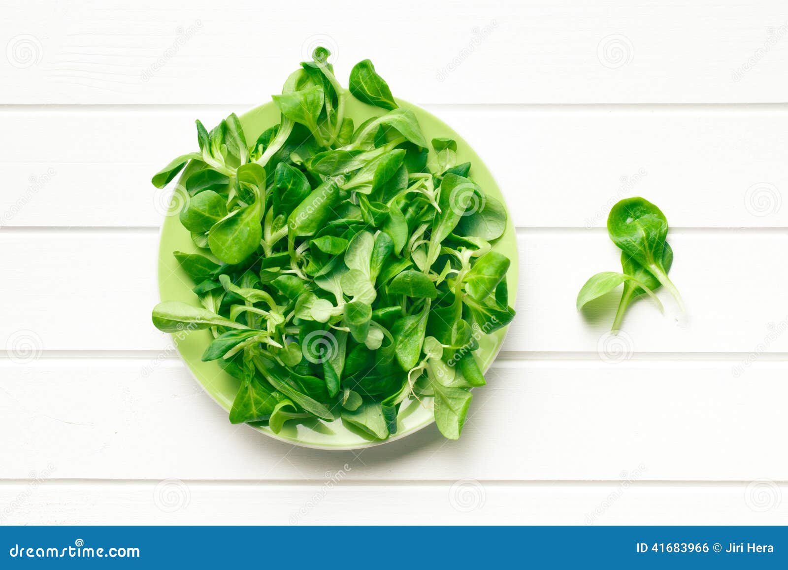 Corn salad, lamb s lettuce stock photo. Image of lamb 41683966