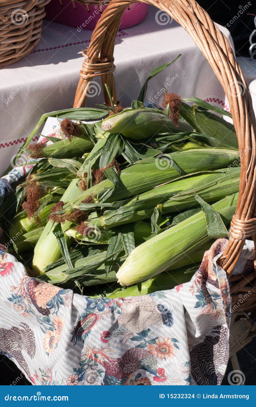 Corn for sale stock photo. Image of vertical, green, harvested 15232324