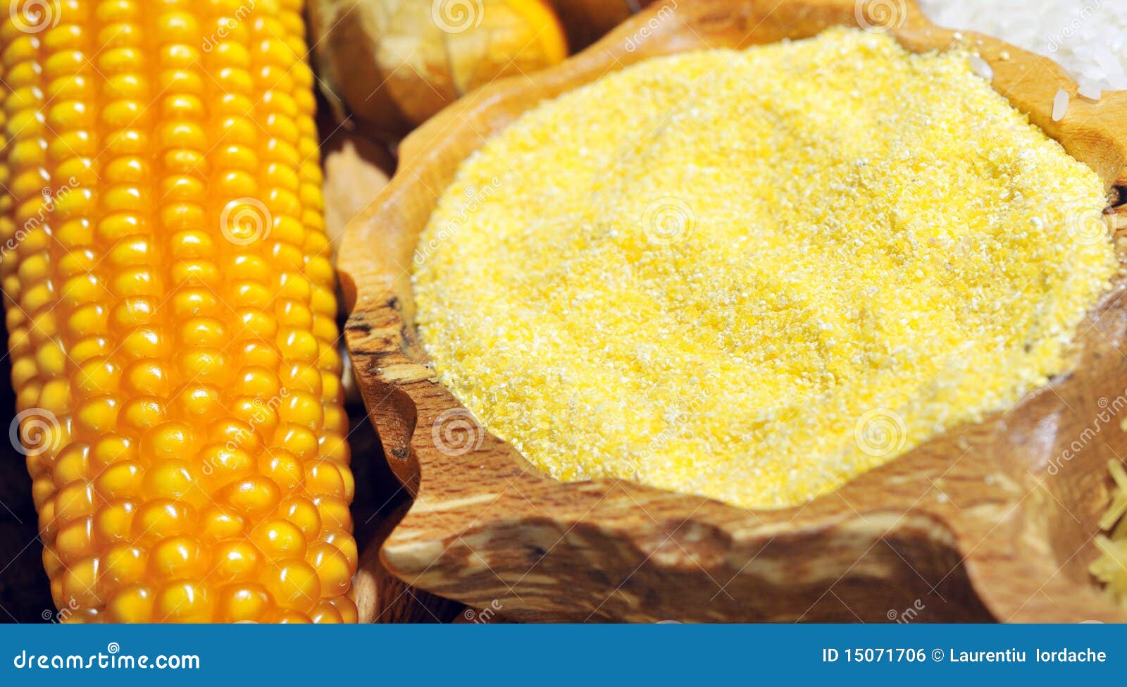 Corn seeds and flour stock photo. Image of detail, cultivated 15071706